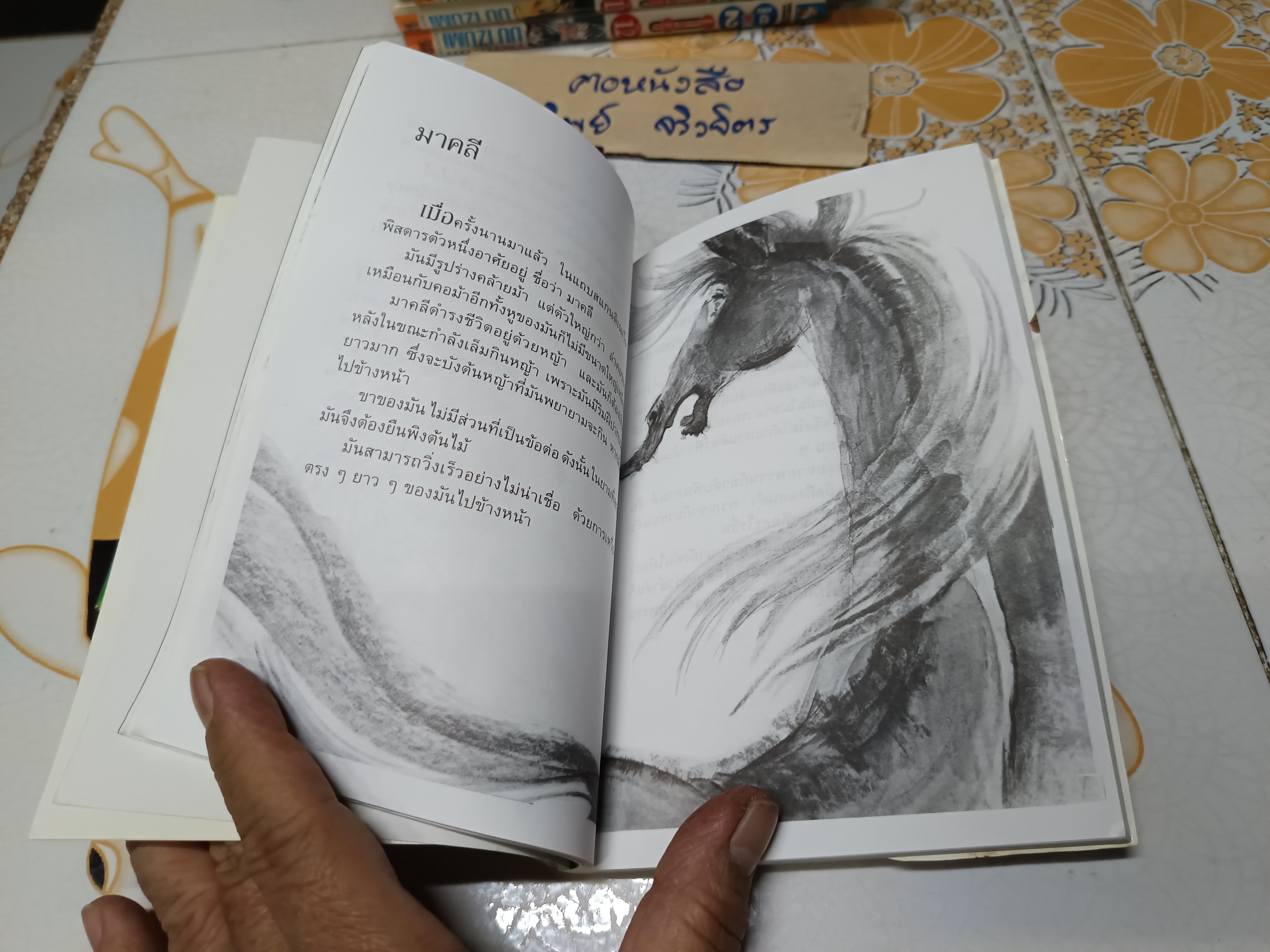 (ขายรวม 2 เล่ม ) นิทานเลโอนาร์โด ดา วินซี เล่ม 1-2