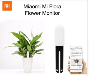 เซนเซอร์วัดค่าในดิน Xiao mi mi care plants Grass Flower Flora Digital Monitor