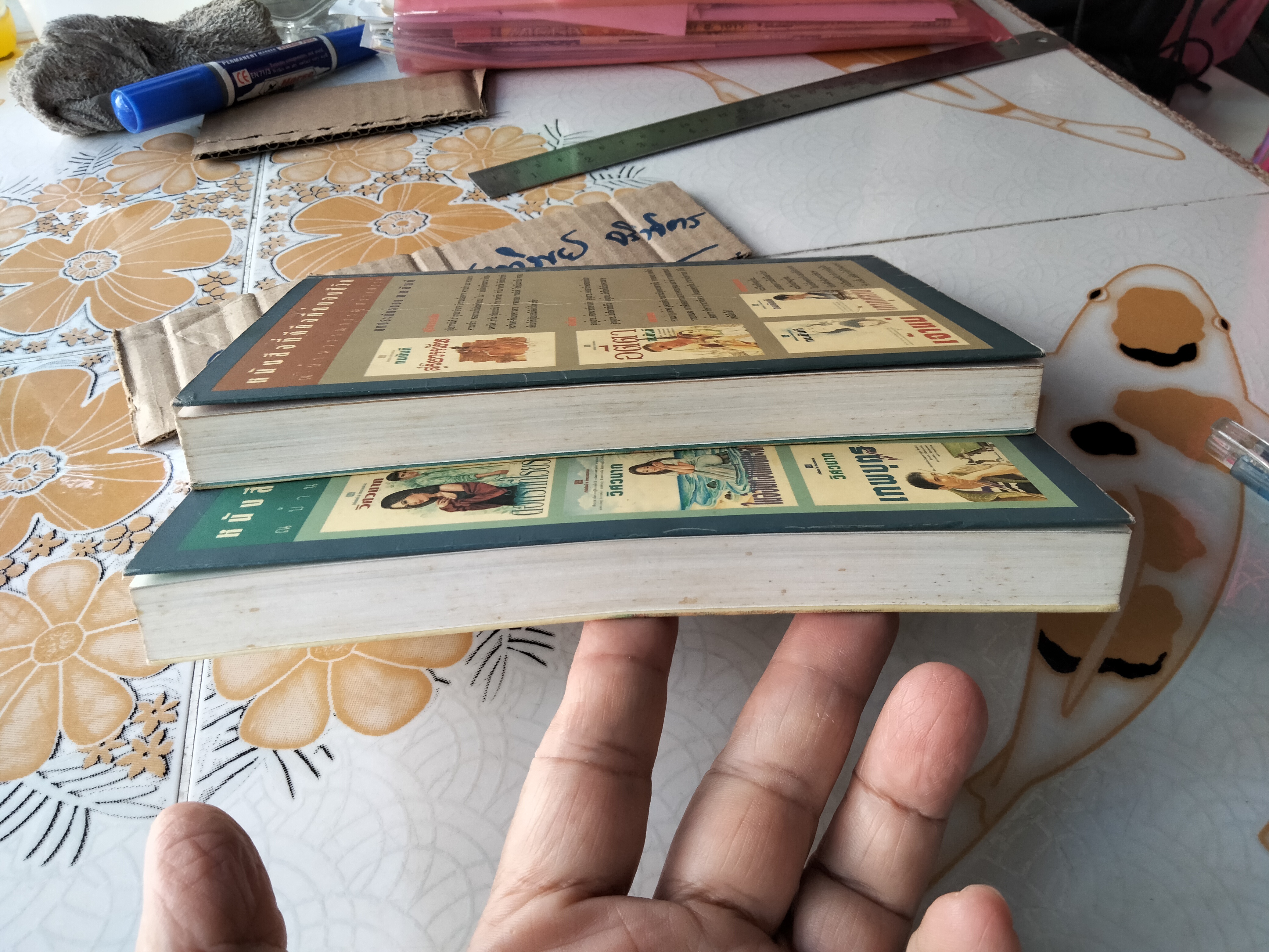 แสงดาวฝั่งทะเล (2 เล่มจบ) กิ่งฉัตร - มีตำหนิตามที่แจ้ง **สินค้าหมด**