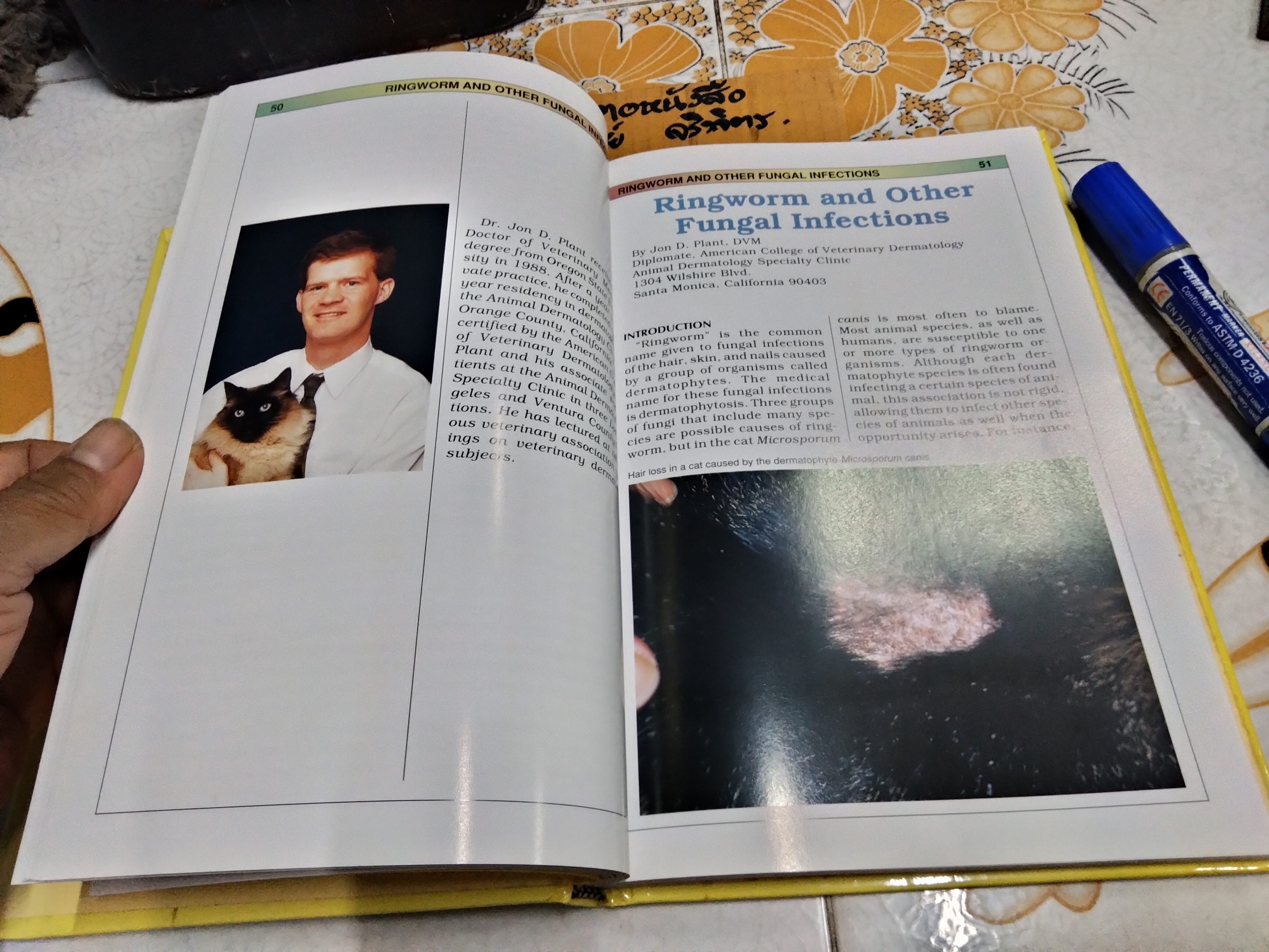 Skin & Coat Care for Your Cat Compiled by Lowell Ackerman