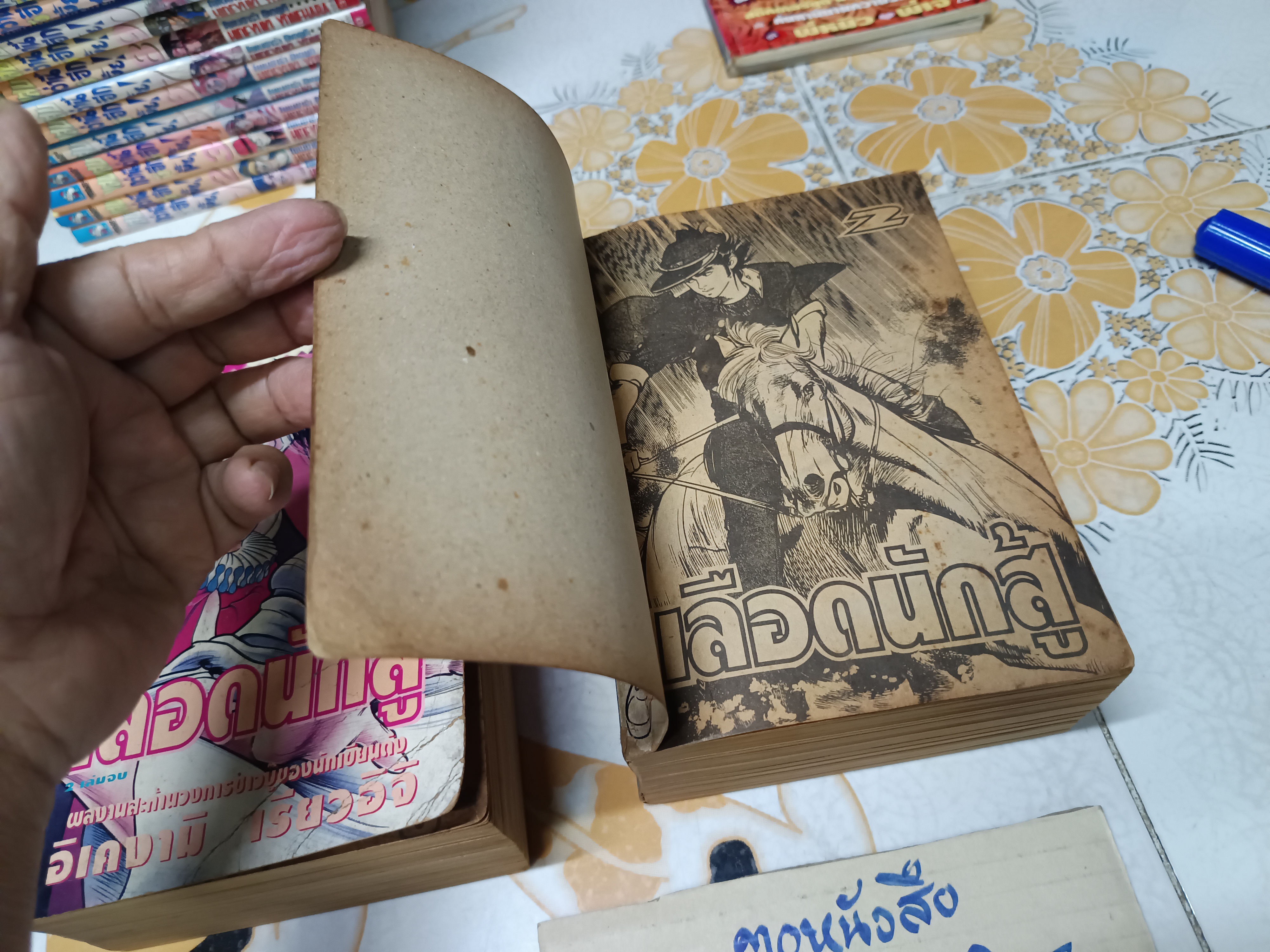 เลือดนักสู้ ( 2 เล่มจบ) อิเคงามิ เรียวอิจิ