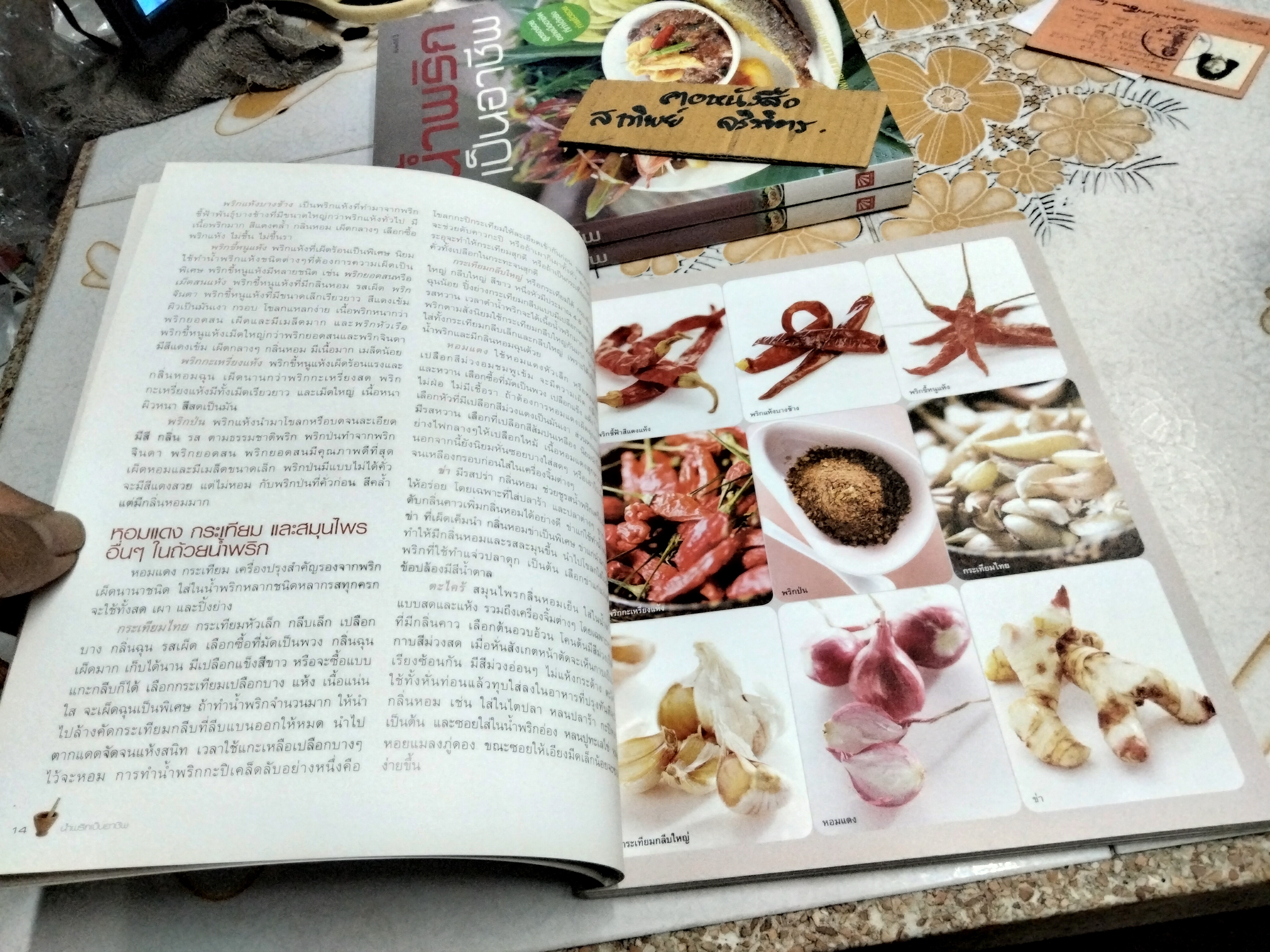 น้ำพริกเป็นอาชีพ สนพ.แสงแดด