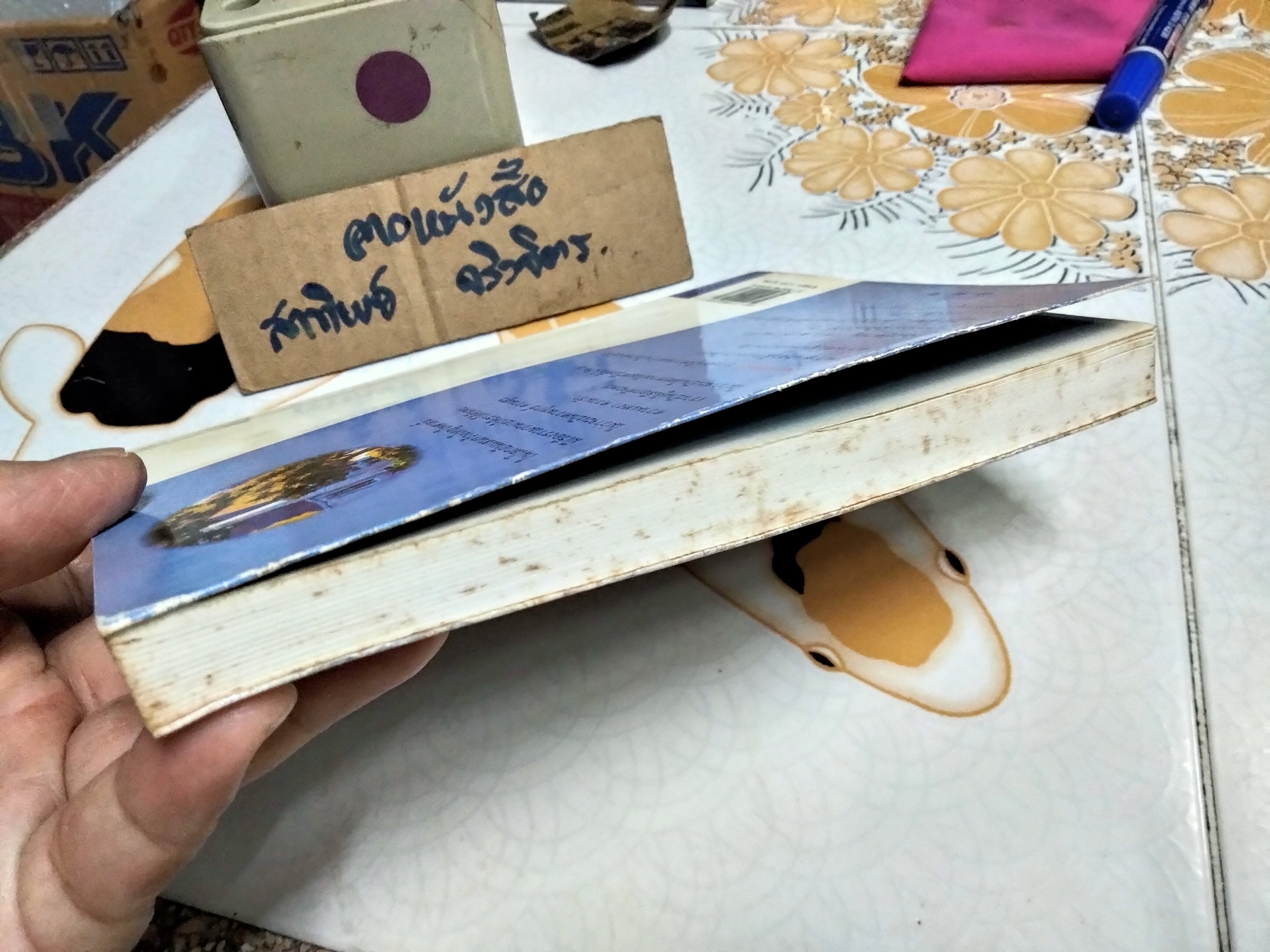 โคมพันดวง (The House of A Thousand Lanterns) วิคทอเรีย โฮลท์ เขียน,วิรันดา แปลและเรียบเรียง