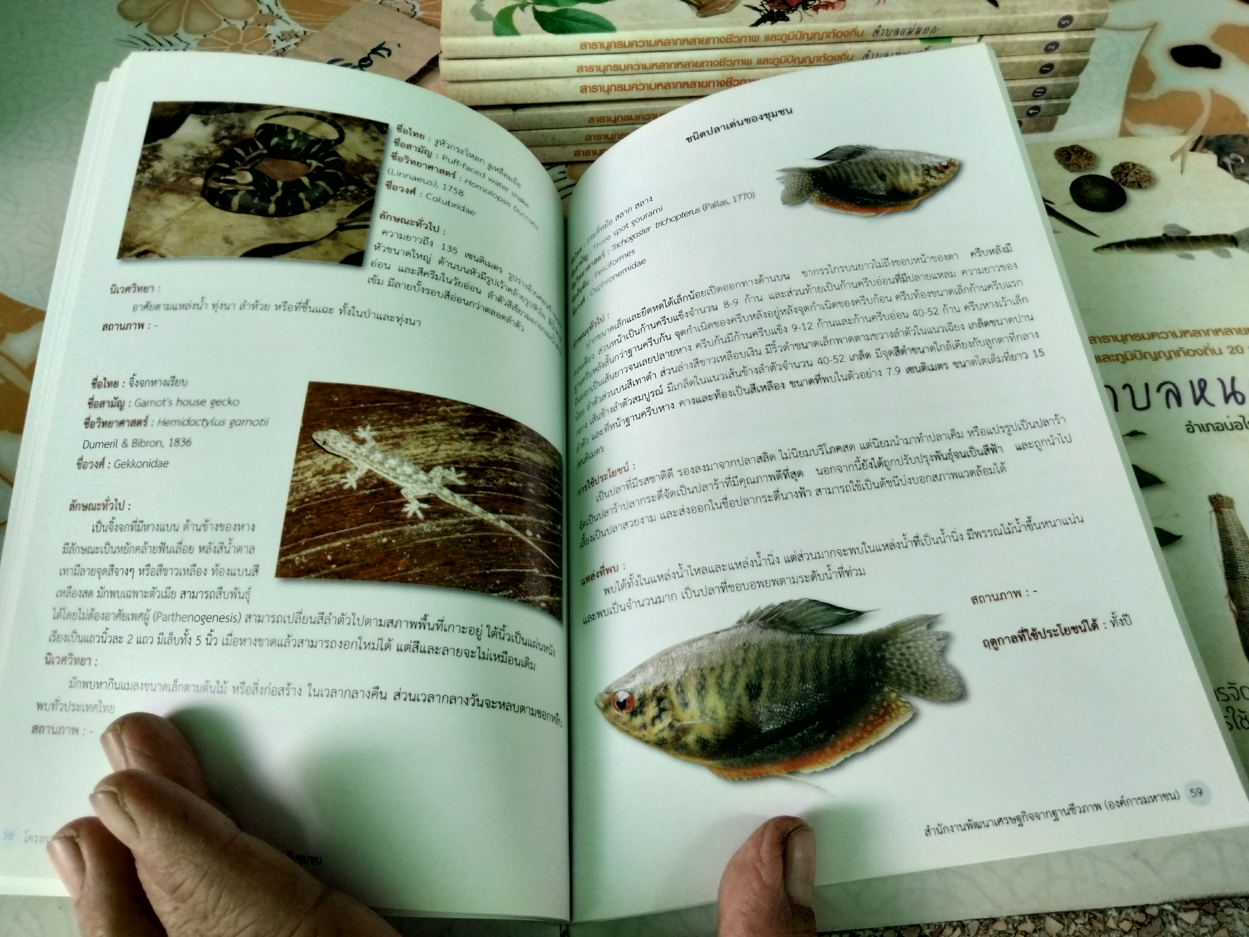 สารานุกรมความหลากหลายทางชีวภาพและภูมิปัญญาท้องถิ่น 20 ชุมชน (มีแค่ 8 เล่ม จาก 20 เล่ม/ชุด)