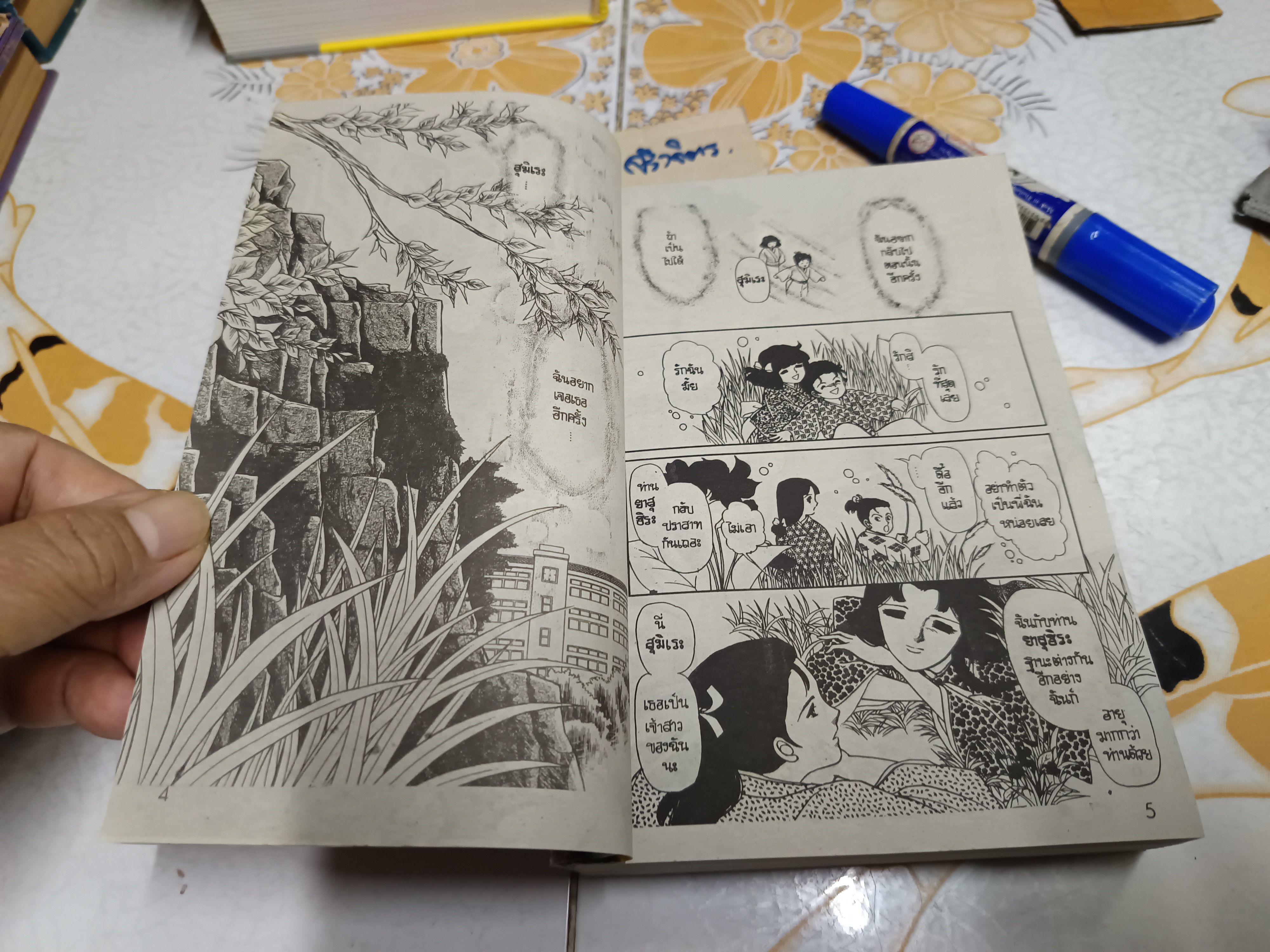 เงาปริศนา (เล่มเดียวจบ) / ฮาระ จิเอโกะ