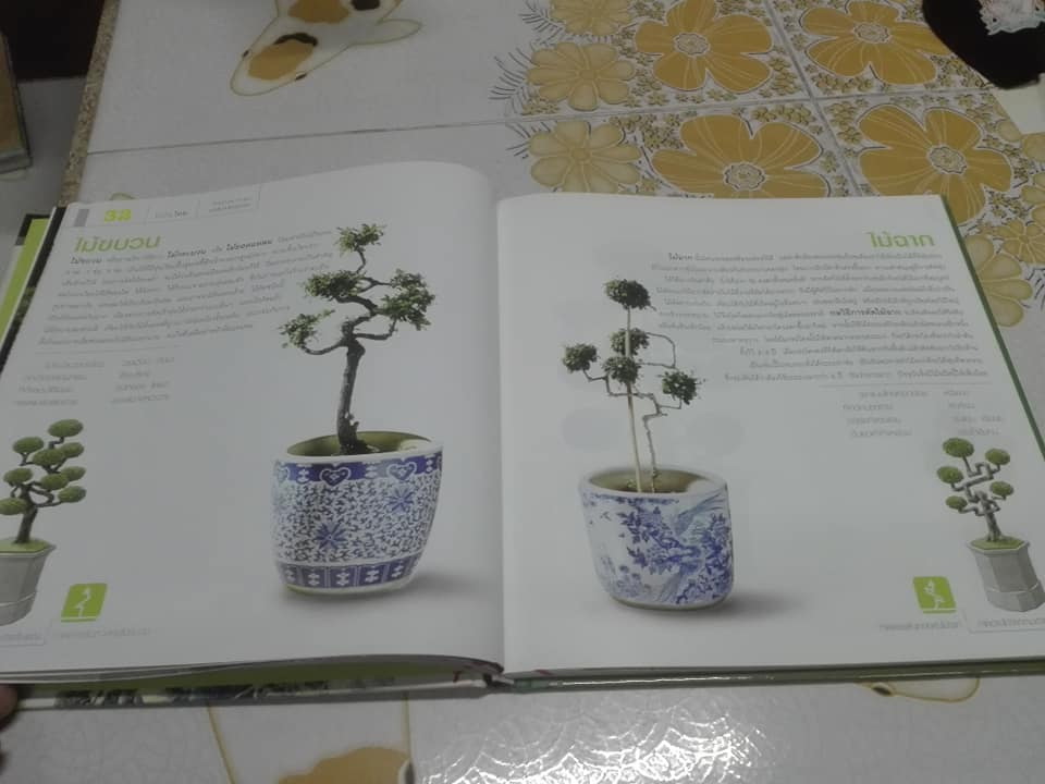 ไม้ดัดไทย (ปกแข็ง) โดย บัญชา เขมธร - ภูวดล น้ำดอกไม้ (มือหนึ่ง ในซีล) **สินค้าหมด**