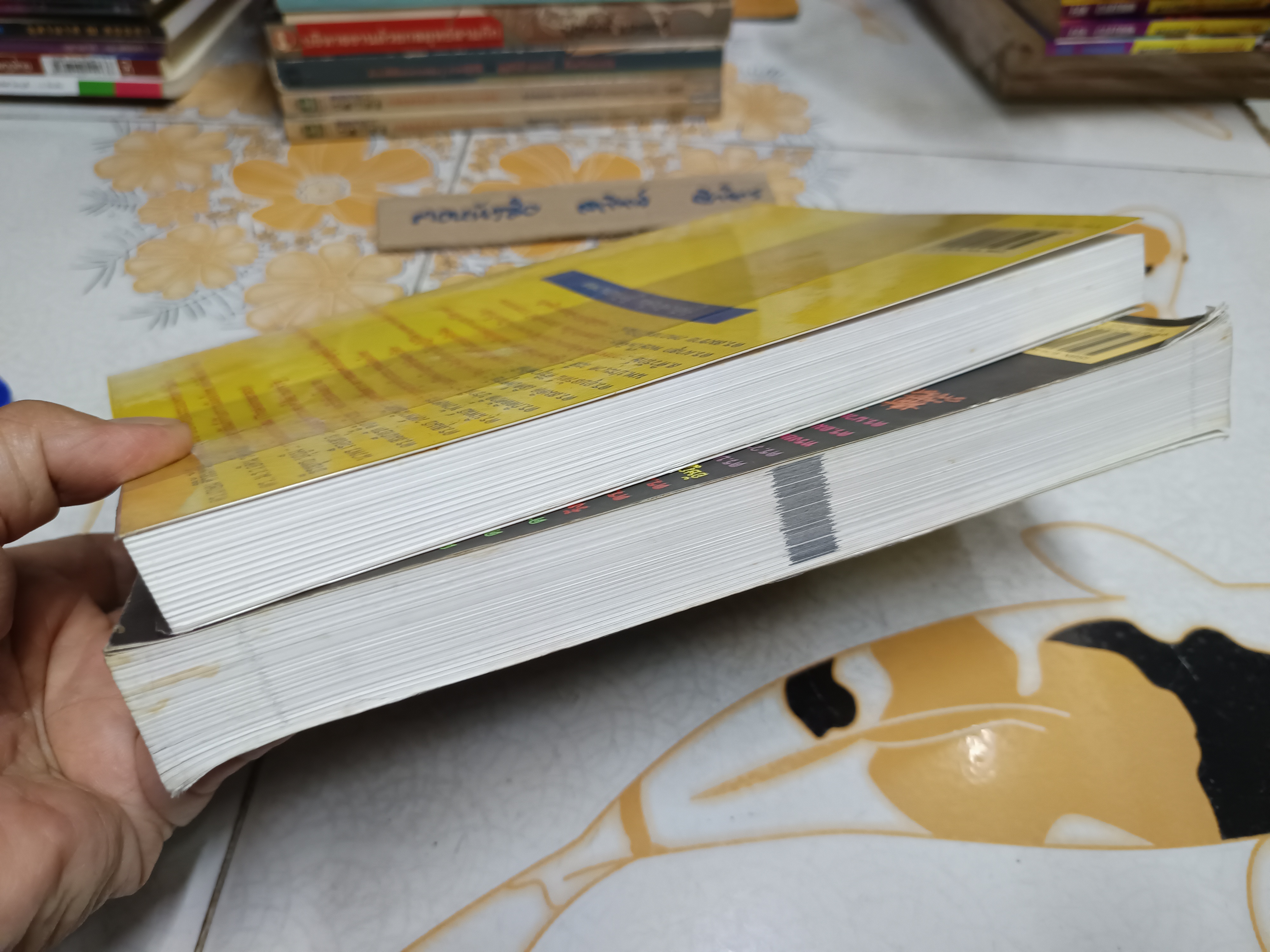 รู้ทันทักษิณ เล่ม 1 - 2 บรรณาธิการโดย ดร. เจิมศักดิ์ ปิ่นทอง พิมพ์ปีพ.ศ 2547 **สินค้าหมด**