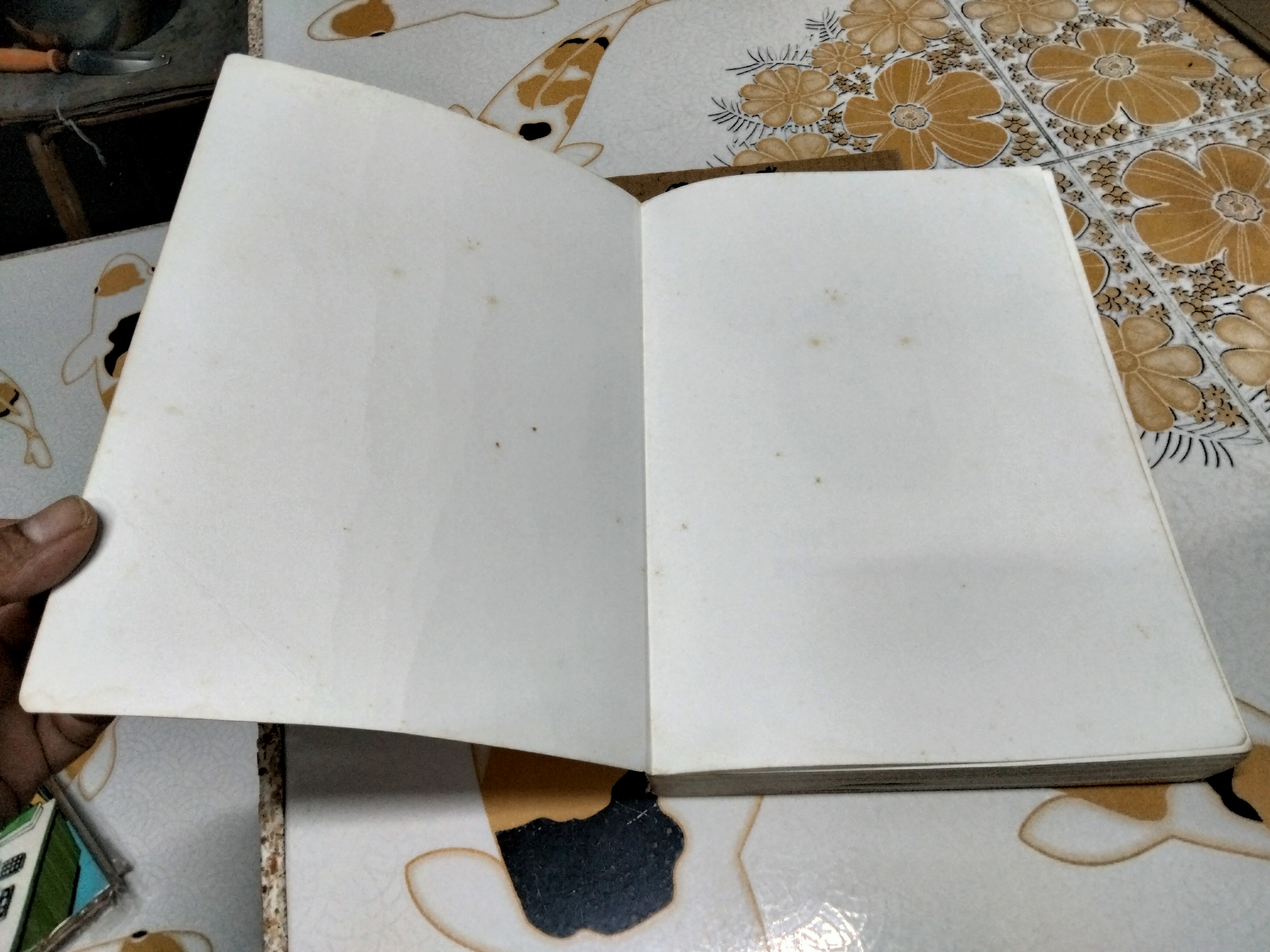 ประวัติวรรณคดีไทย โดย เปลื้อง ณ นคร (หนังสือสภาพพอใช้) **สินค้าหมด**