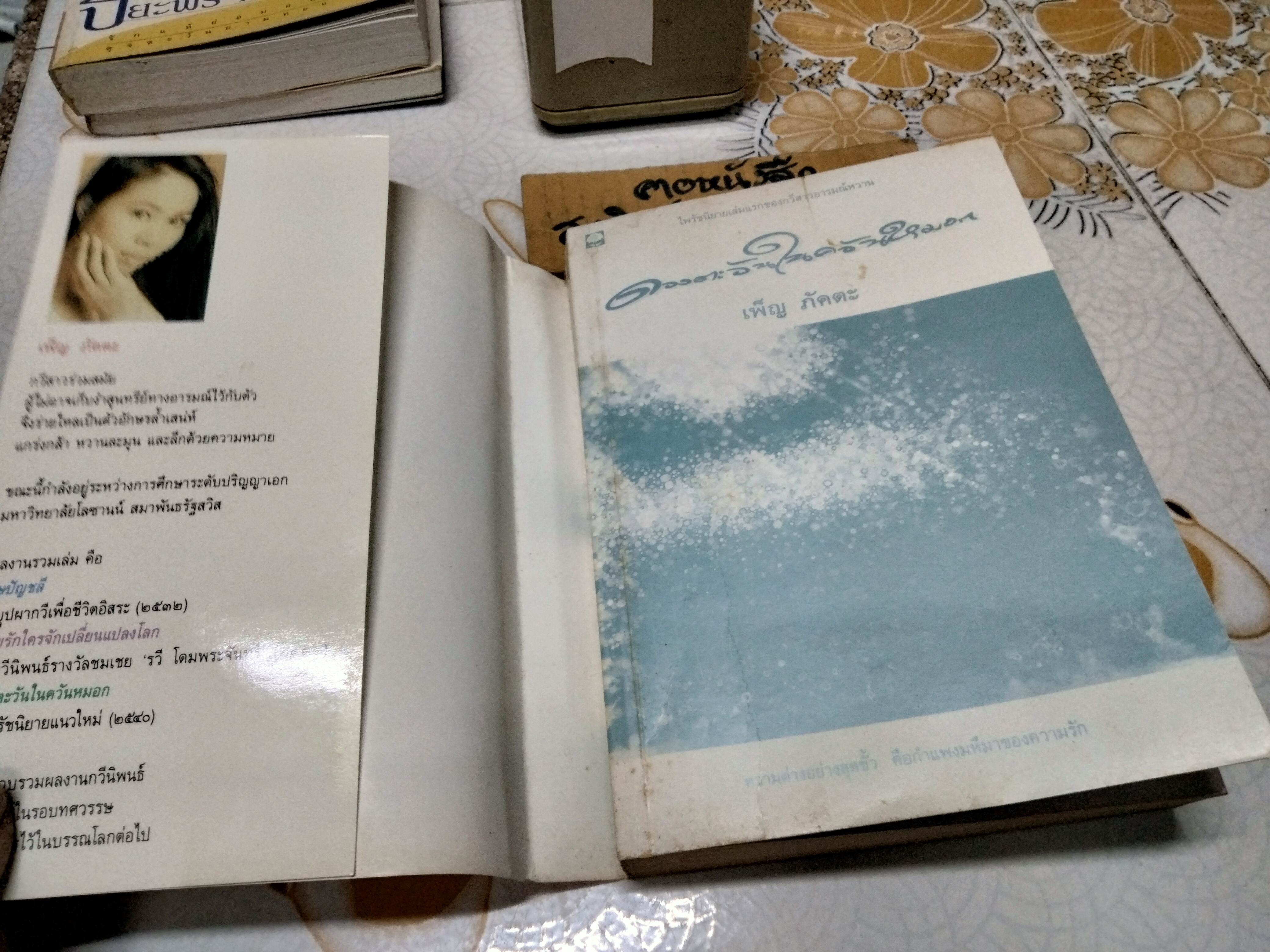 ดวงตะวันในควันหมอก (เล่มเดียวจบ) เพ็ญ ภัคตะ