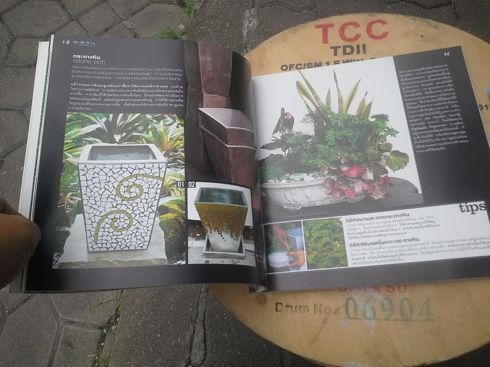 ปลูก หัด จัด วาง ต้นไม้ในกระถาง Planting Combination (พิมพ์ปี 2549) **สินค้าหมด**