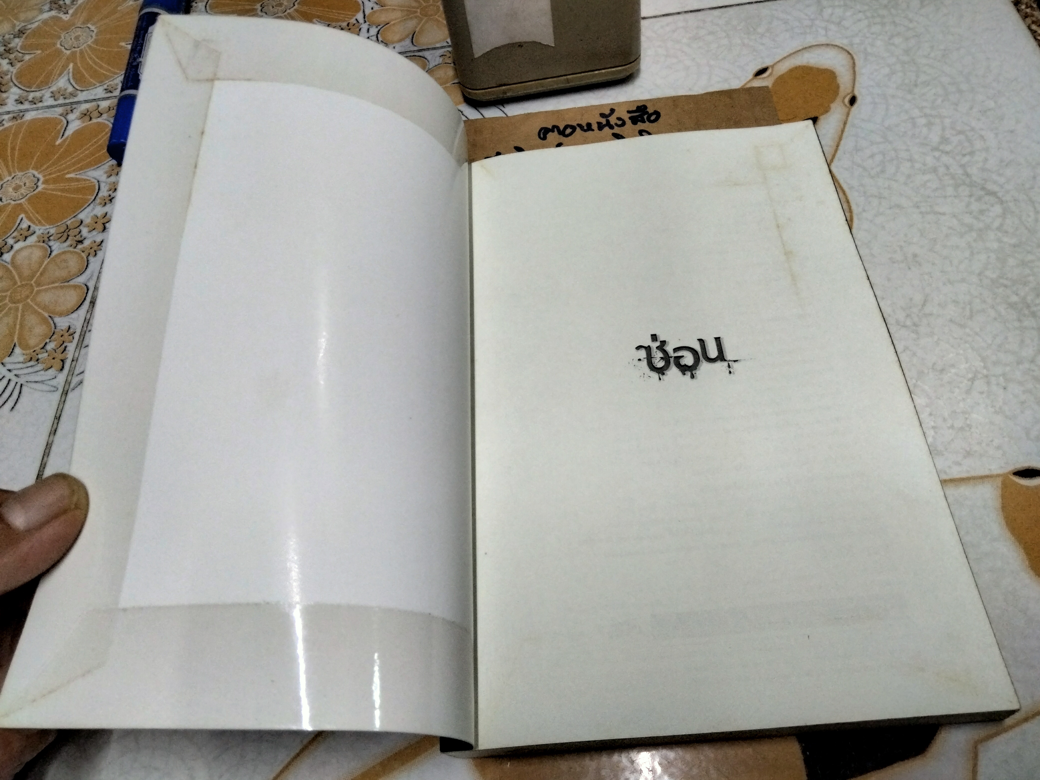 สาปอัปสรา Apsara - ภาคินัย (แผ่นสติกเกอร์หุ้มปก) **สินค้าหมด**