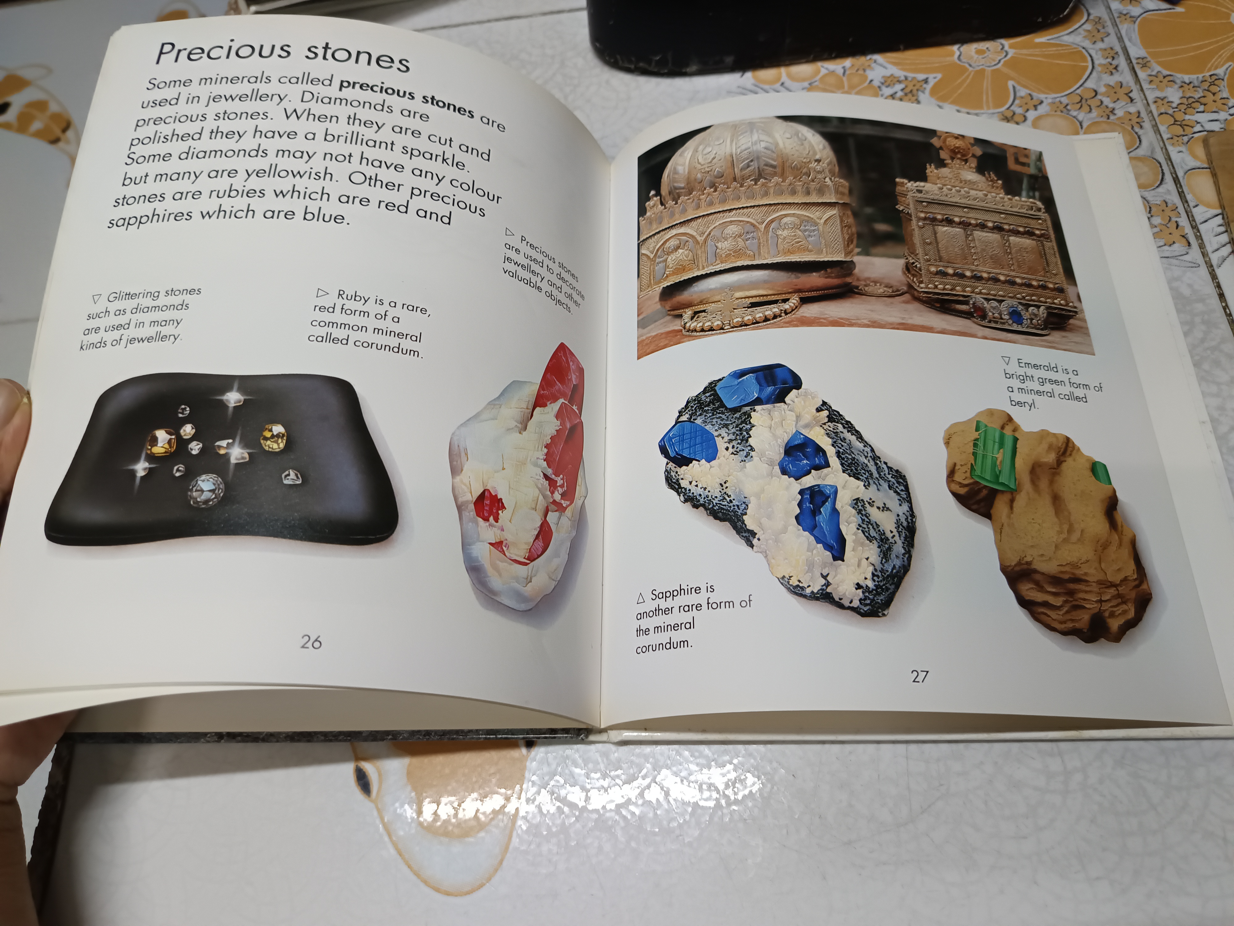 FIRST STARTS / WATTS BOOKS หนังสือภาพภาษาอังกฤษ ความรู้ (ปกแข็ง)