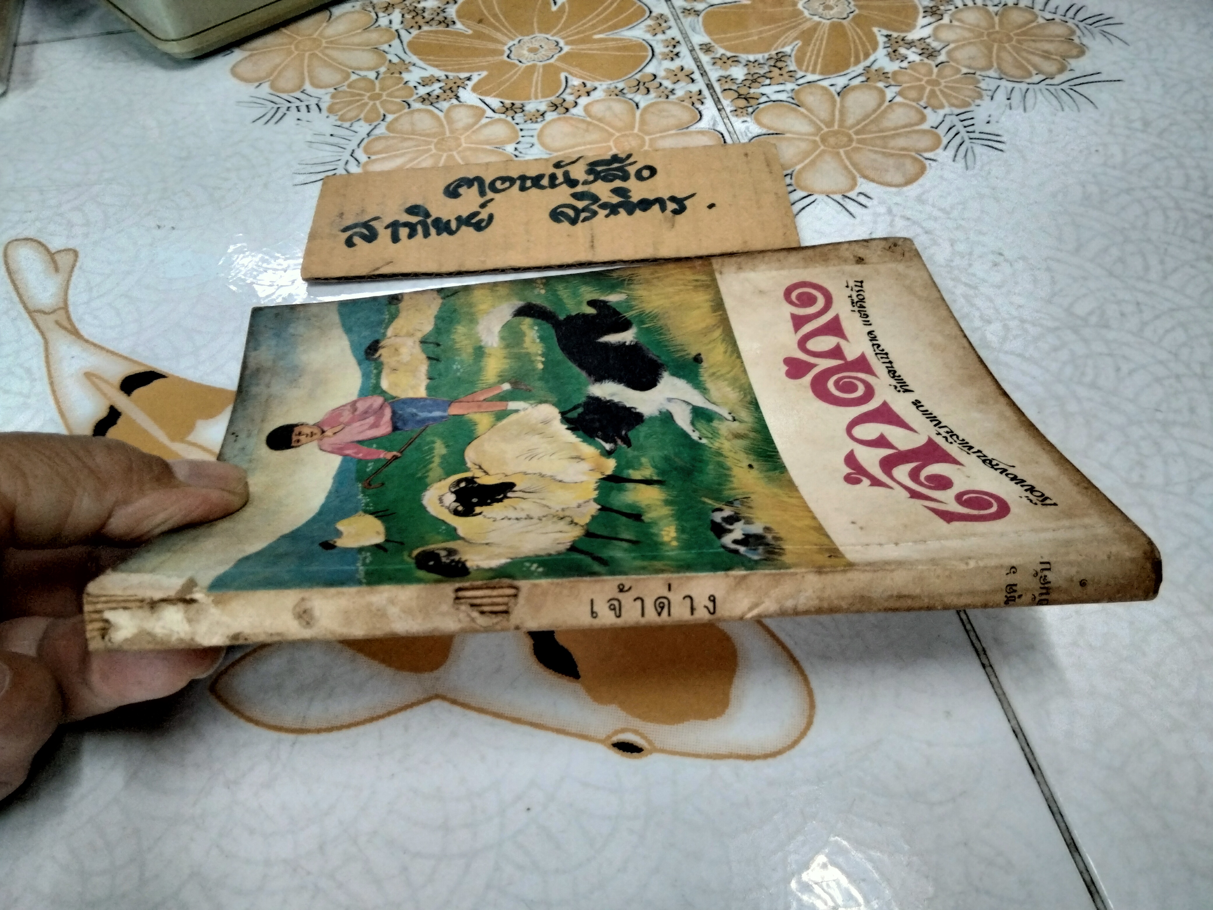 เจ้าด่าง - หนังสืออ่านสำหรับเยาวชนตามโครงการหนังสือเด็กของกองบรรณาธิการชัยพฤกษ์ ชุดที่ 6 อันดับ 1 พ.ศ 2520