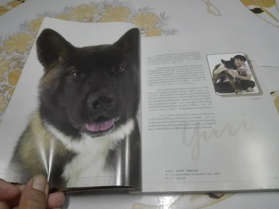 DOGS IN THE BOOK - 32 หมา...ที่คนอยากอวด