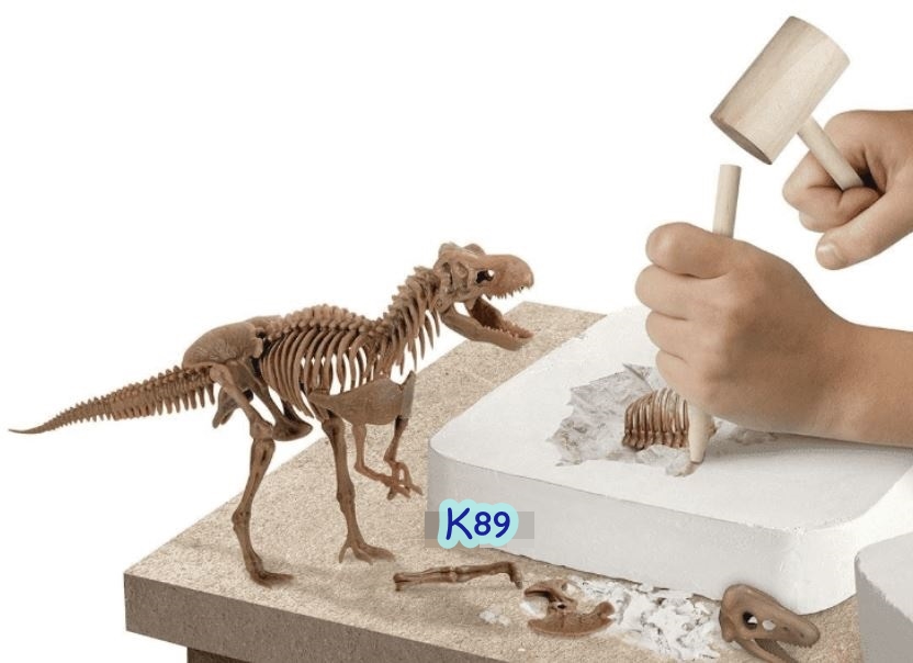 ชุดขุดฟอสซิลไดโนเสาร์