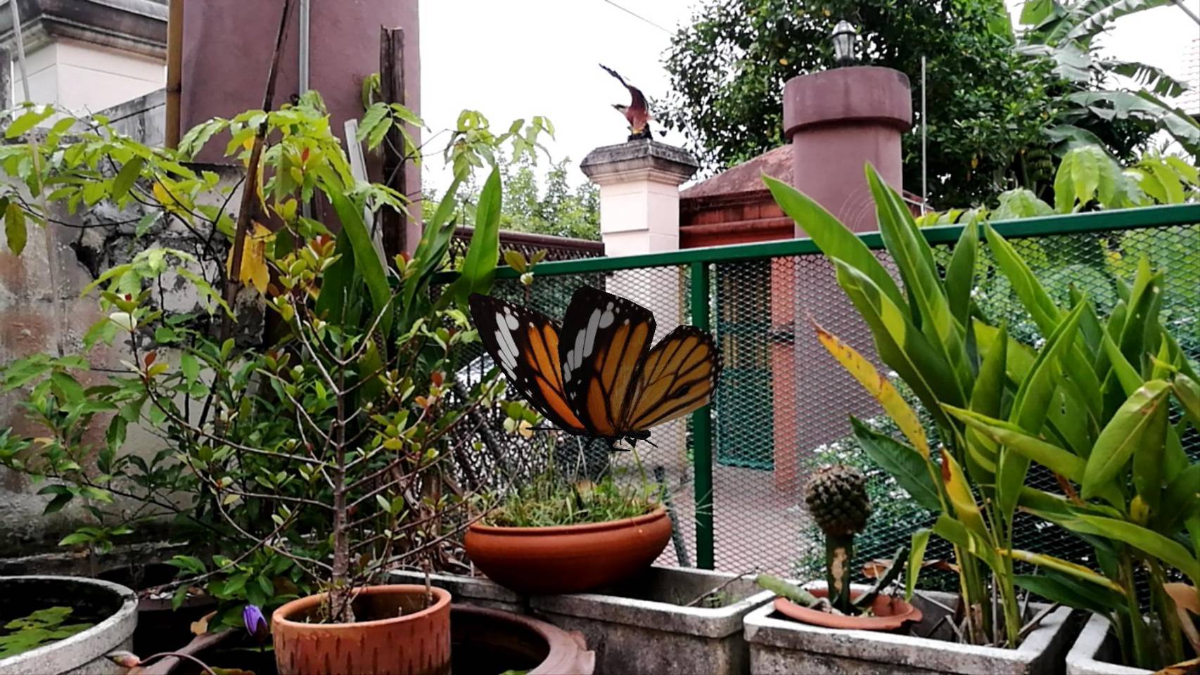 สื่อสามมิติ ด้านภาษา