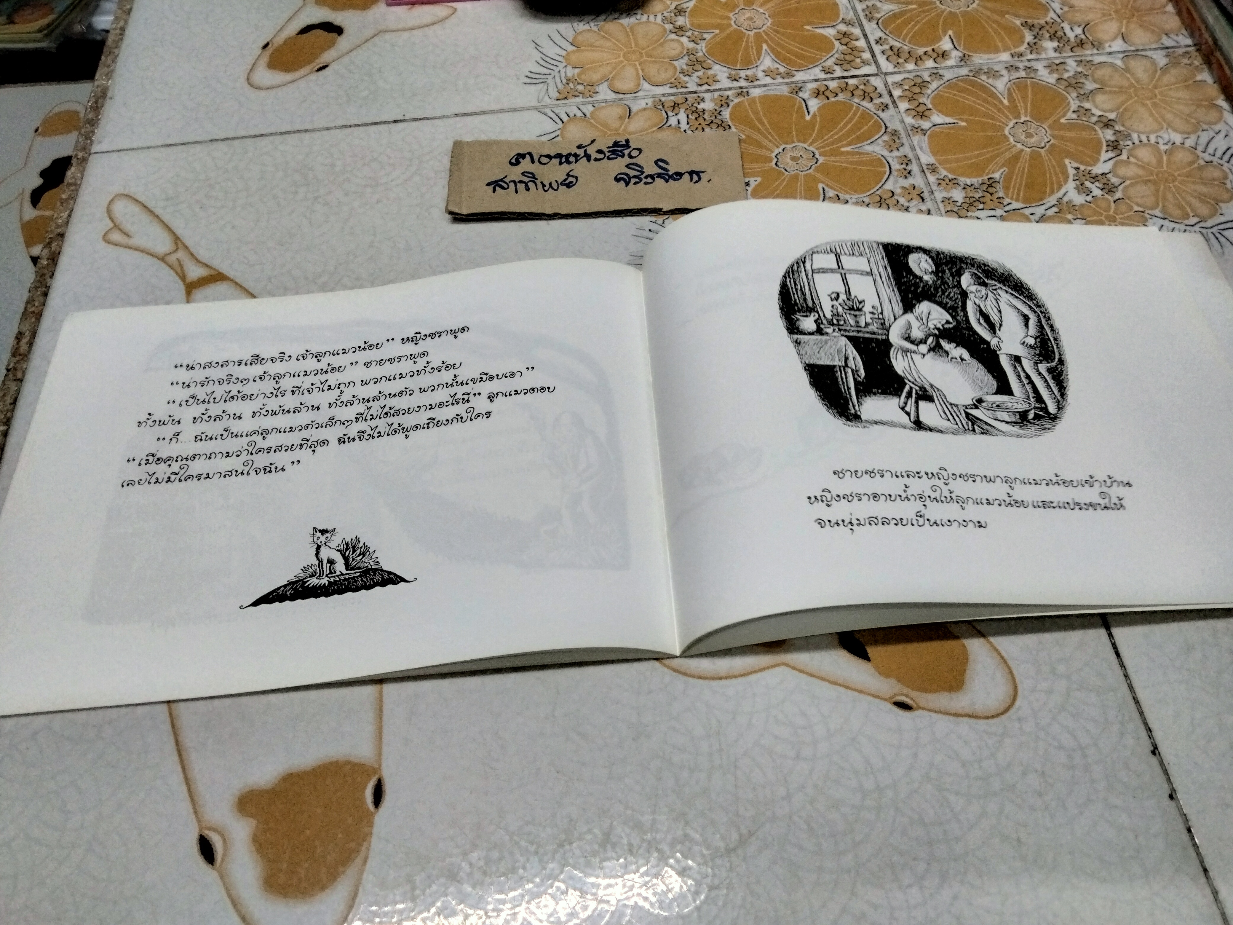 แมวล้านตัว (Millions of cats) เรื่องและภาพโดย แวนดา ก็อก - ชีวัน วิสาสะ แปล , พิมพ์ครั้งที่ 3-2552