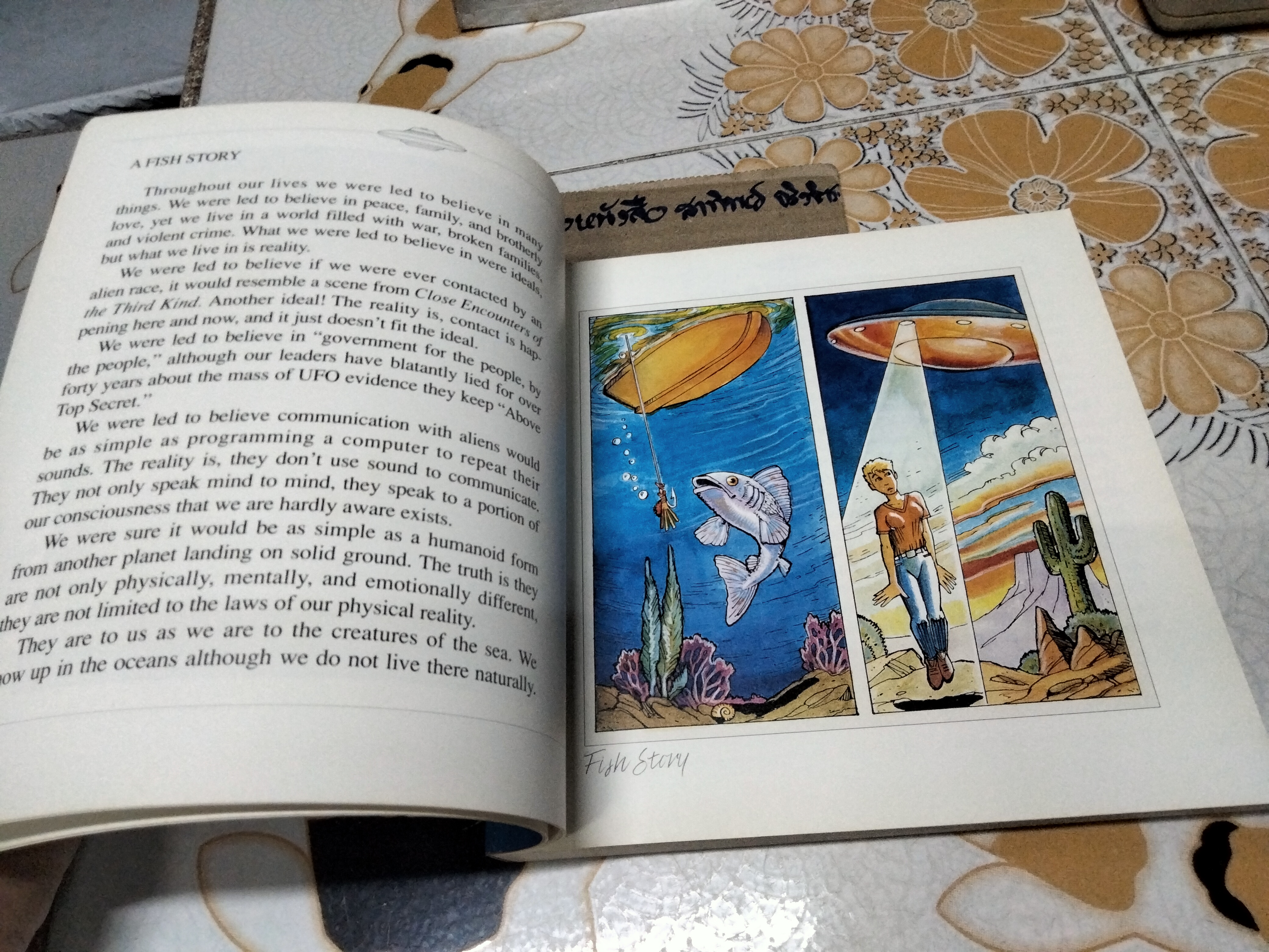 Beyond My Wildest Dreams : Diary of a UFO Abductee Kim Carlsberg , 1995