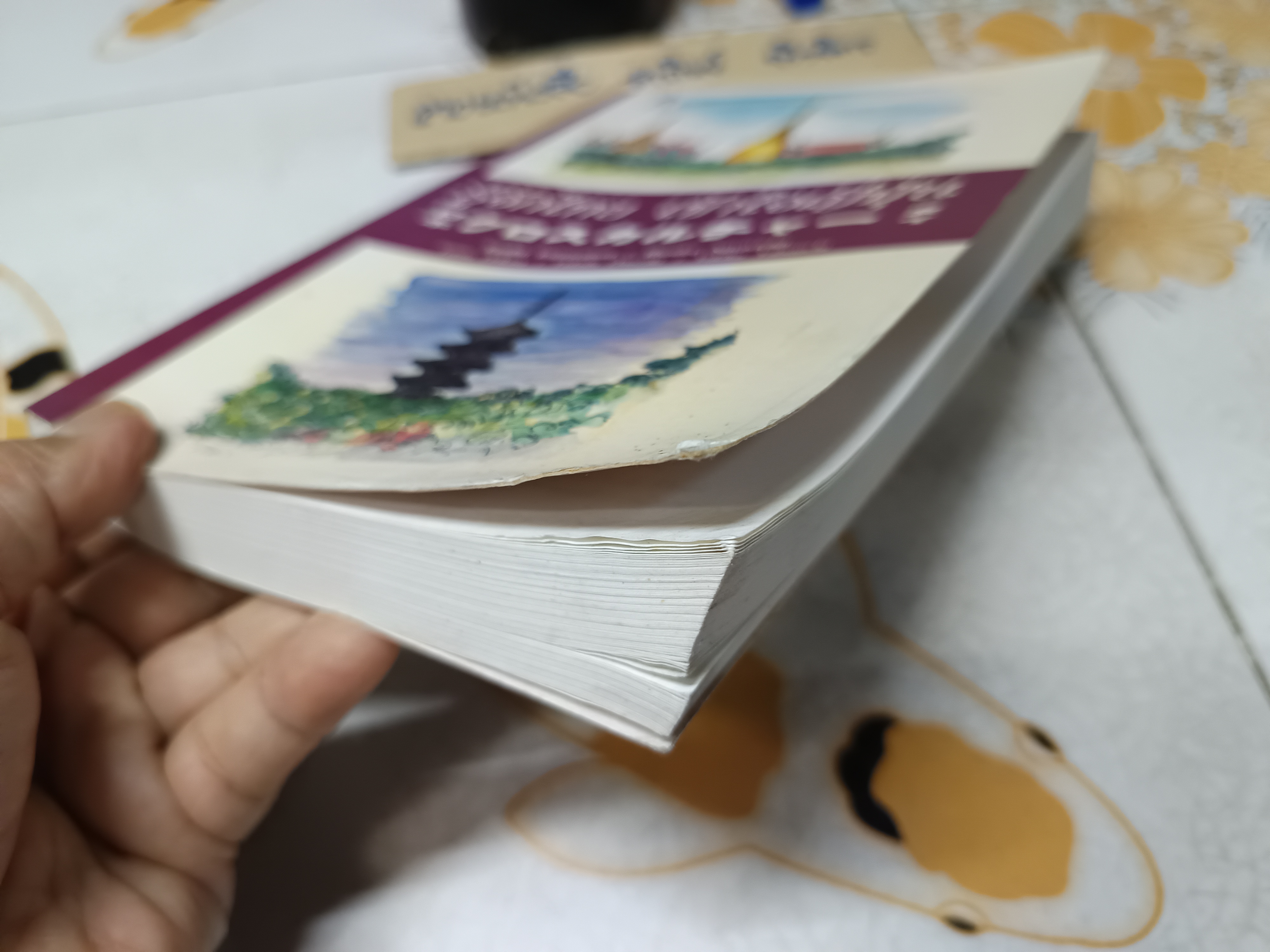 รู้จักไทย เข้าใจญี่ปุ่น ผู้แต่ง : บัณฑิต โรจน์อารยานนท์, ผุสดี นาวาวิจิต, Fumio Orikasa,