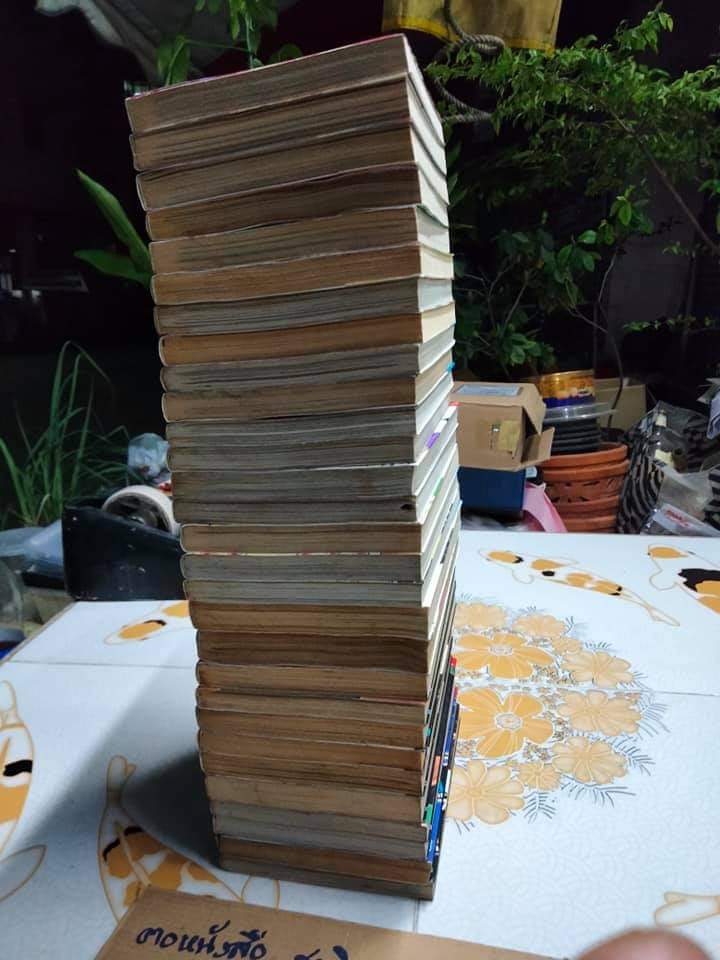 WORST เวอร์ส มีแค่ 1-29 ( ชุดเต็มมี 33 เล่มจบ) หนังสือบ้าน มีตำหนิบ้าง