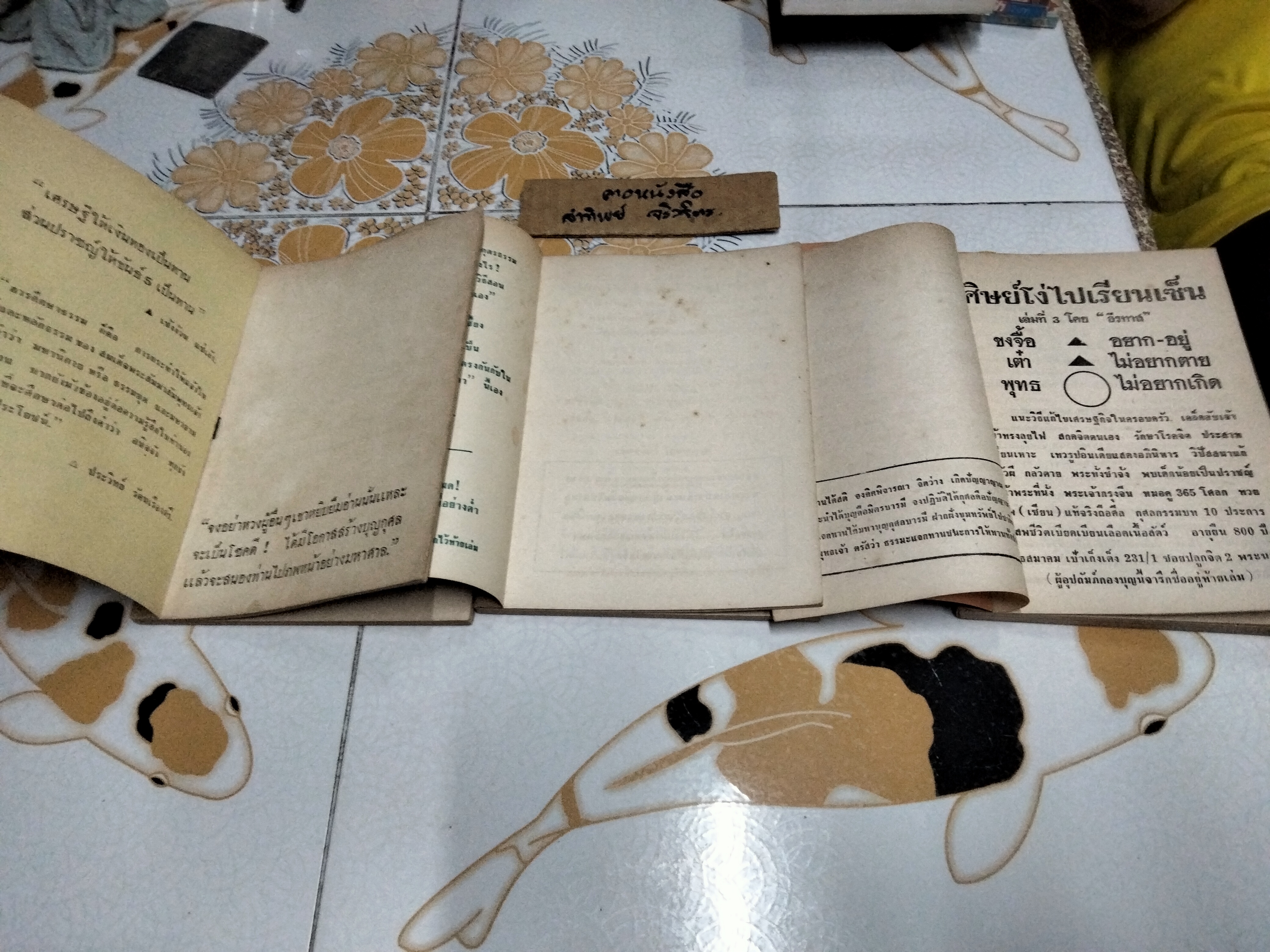 ศิษย์โง่ไปเรียนเซ็น (เล่ม 1-2-3) ขาดเล่ม 4 แปลและเรียบเรียง โดย ธีรทาส **สินค้าหมด**