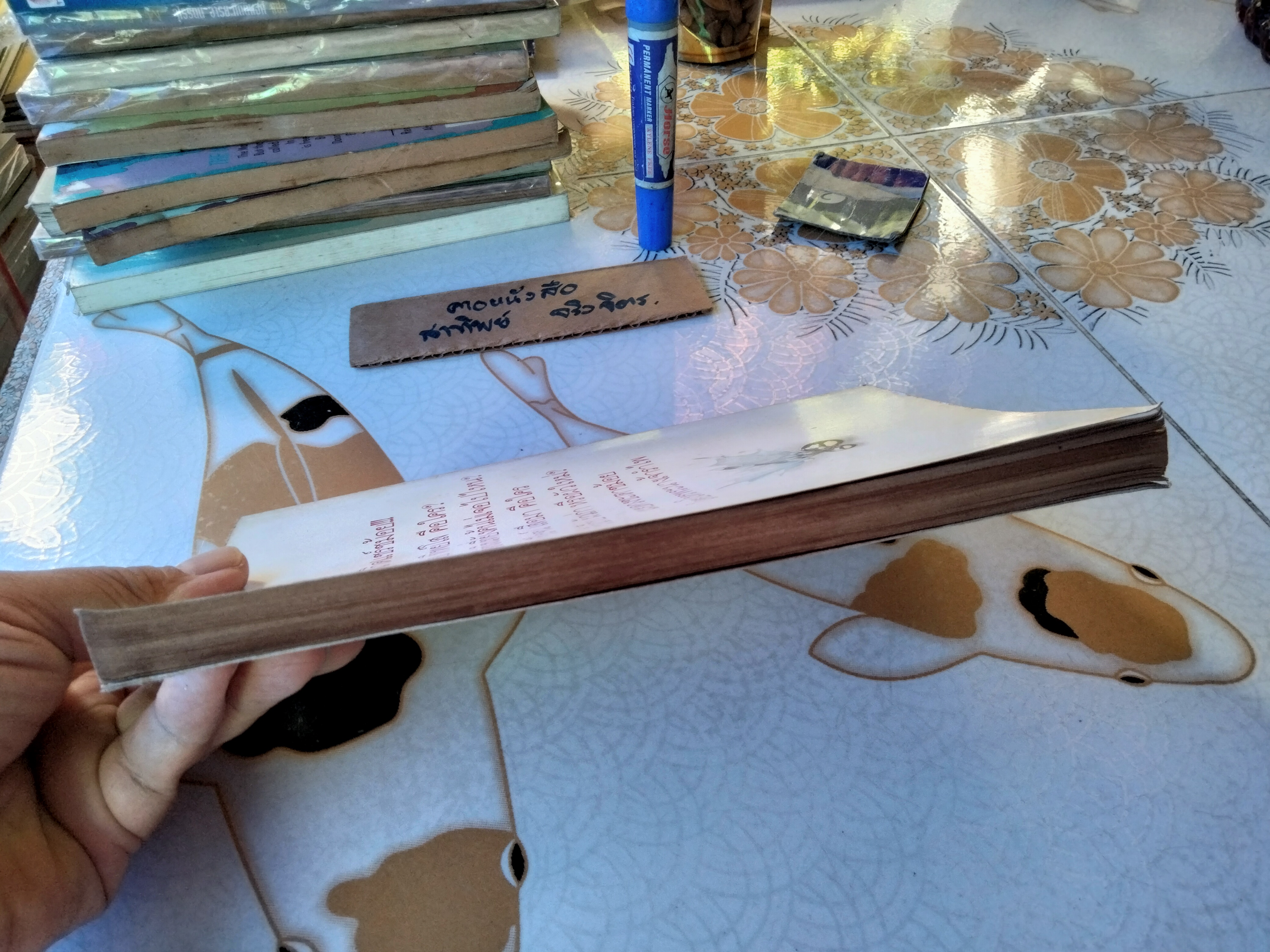 ปฏิวัติแชร์ชม้อย โดย องอาจ คล้ามไพบูลย์, ธร แม่โจ้