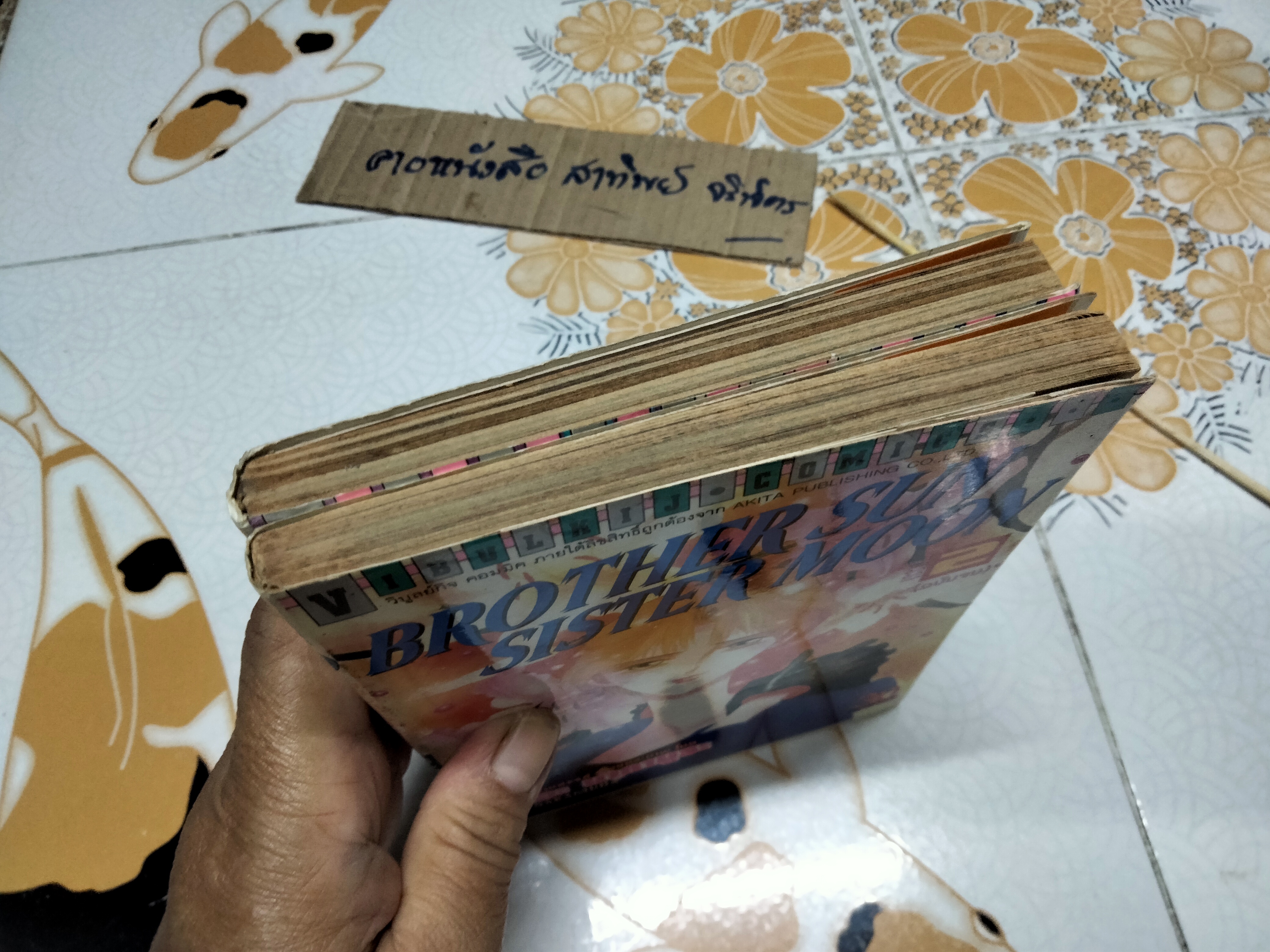 หนังสือการ์ตูน BROTHER SON SISTER MOON (2 เล่มจบ) RIE NAKAMURA **สินค้าหมด**