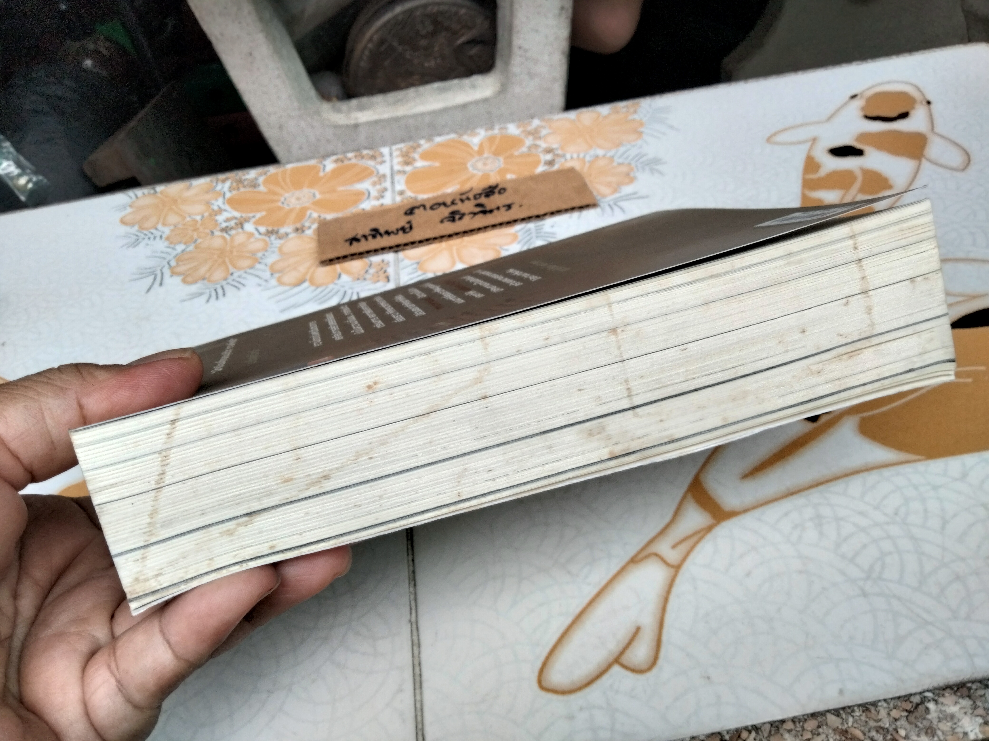 ลำนำหกพิภพ โดย พงศ์ศรณ์ ภูมิวัฒน์ (พิมพ์ครั้งแรก 2551) หนังสือมีตำหนิ **สินค้าหมด**