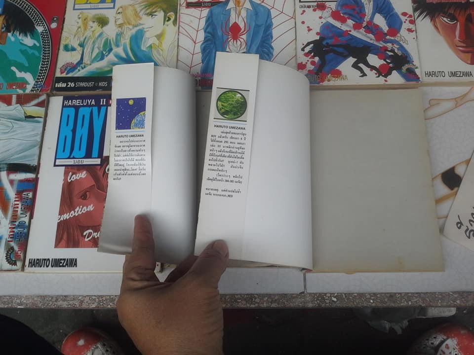 หนังสือการ์ตูน BOY HARELUYA ll 1-33 จบ ** สินค้าหมด**