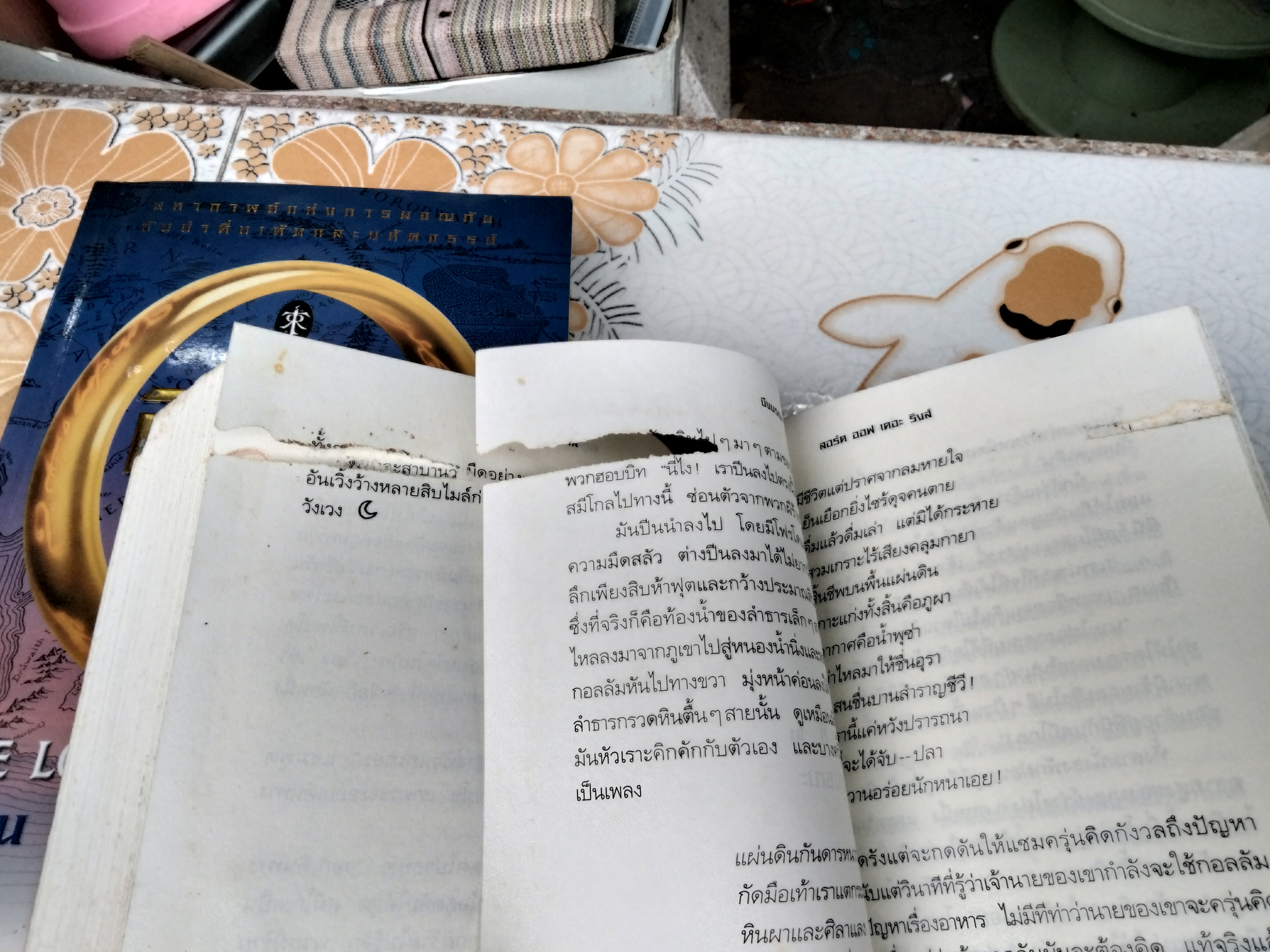 ลอร์ด ออฟ เดอะ ริงส์ ตอน มหันตภัยแห่งแหวน + หอคอยคู่พิฆาต (ขายรวม 2 เล่ม) **หนังสือตำหนิหนัก มีรอยปลวกกิน