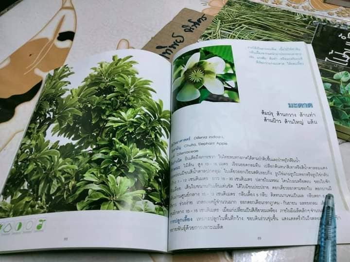 ไม้ทนน้ำ - คู่มือคนรักต้นไม้ชุดที่ 6 โดย อุไร จิรมงคลการ