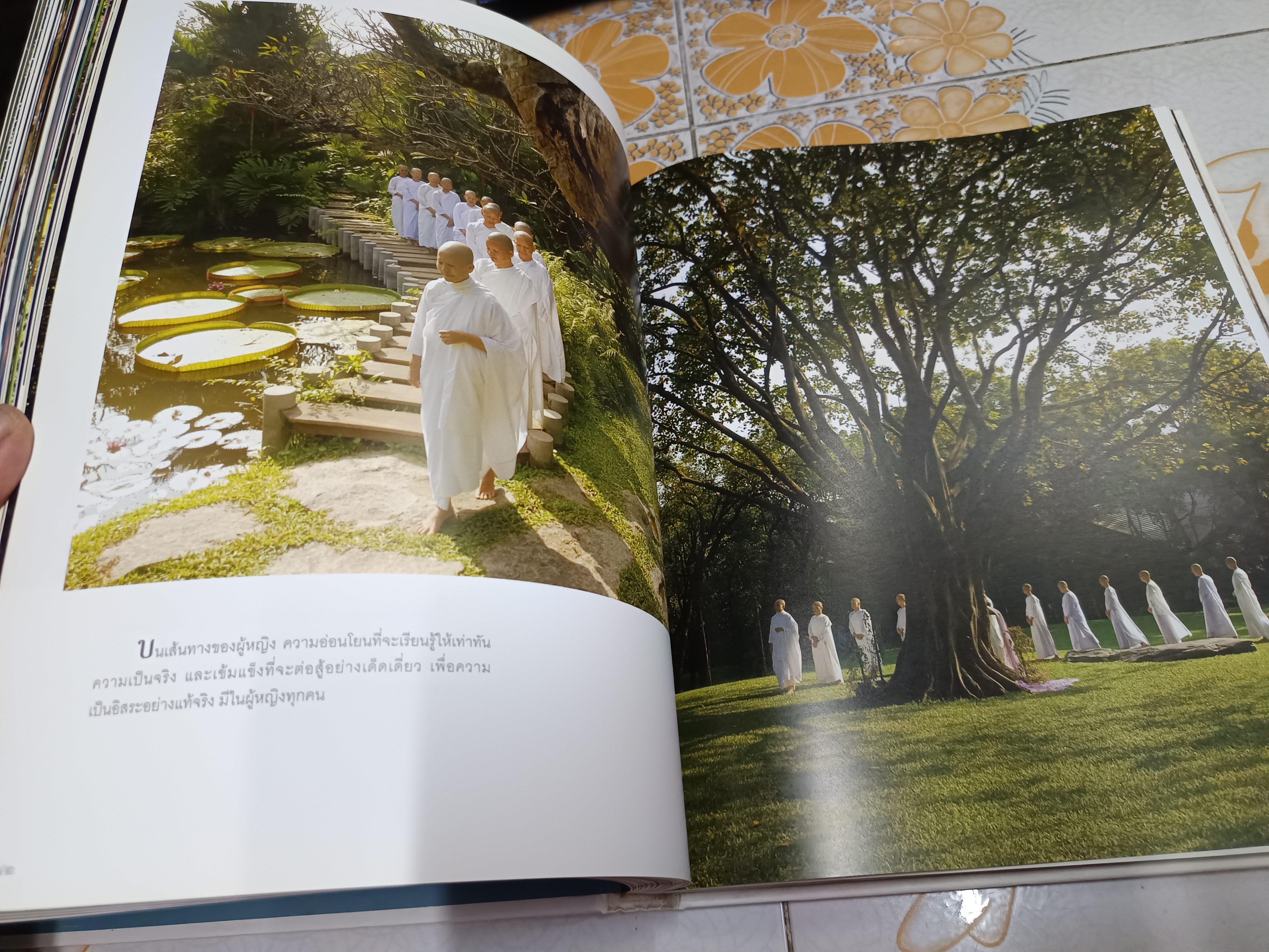 กรุณาแห่งหัวใจ A NOBLE MISSION โดย แม่ชีศันสนีย์ เสถียรสุต (ไม่มีใบหุ้มปก)