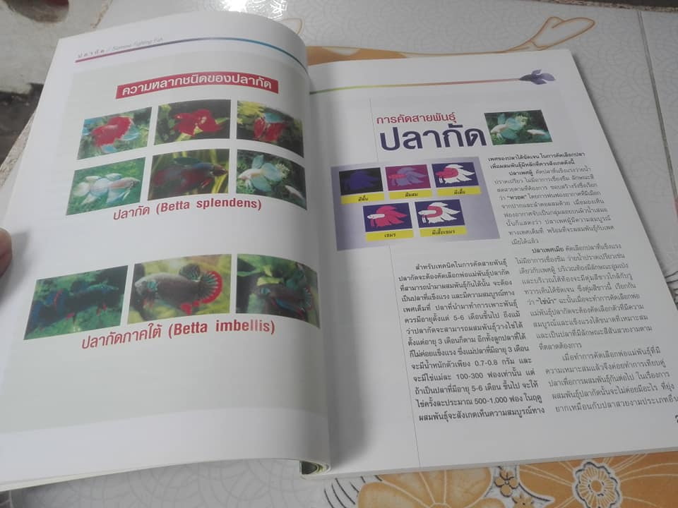 คู่มือการเพาะเลี้ยงและการคัดสายพันธุ์ ปลากัด ฉบับสมบูรณ์ เรียบเรียงโดย ธนากร ฤทธิ์ไธสง