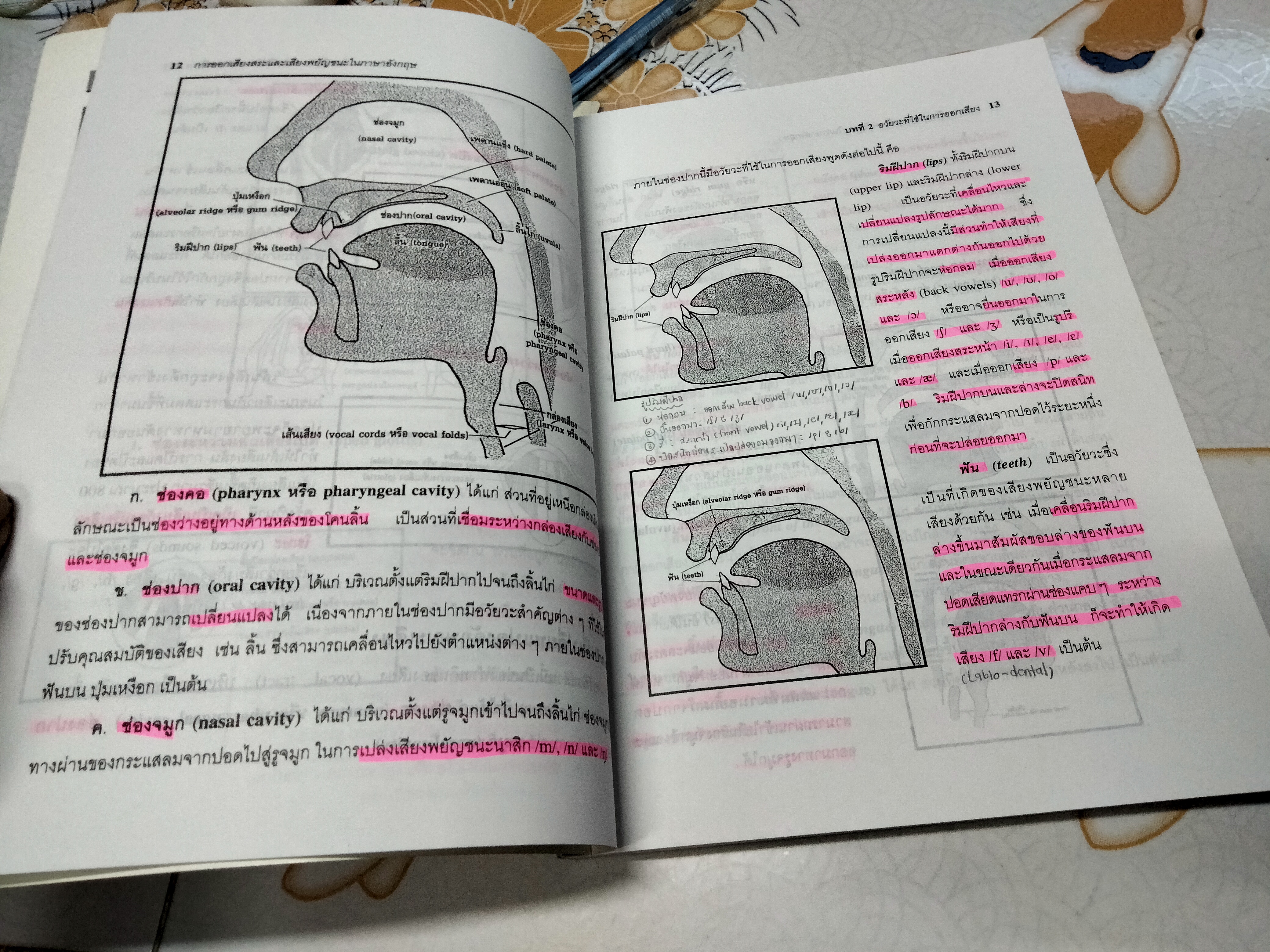 การออกเสียงสระและเสียงพยัญชนะในภาษาอังกฤษ + CD โดย รศ. ปรารมภ์รัตน์ โชติกเสถียร (มีรอยปากกาเน้นข้อความ) **สินค้าหมด**