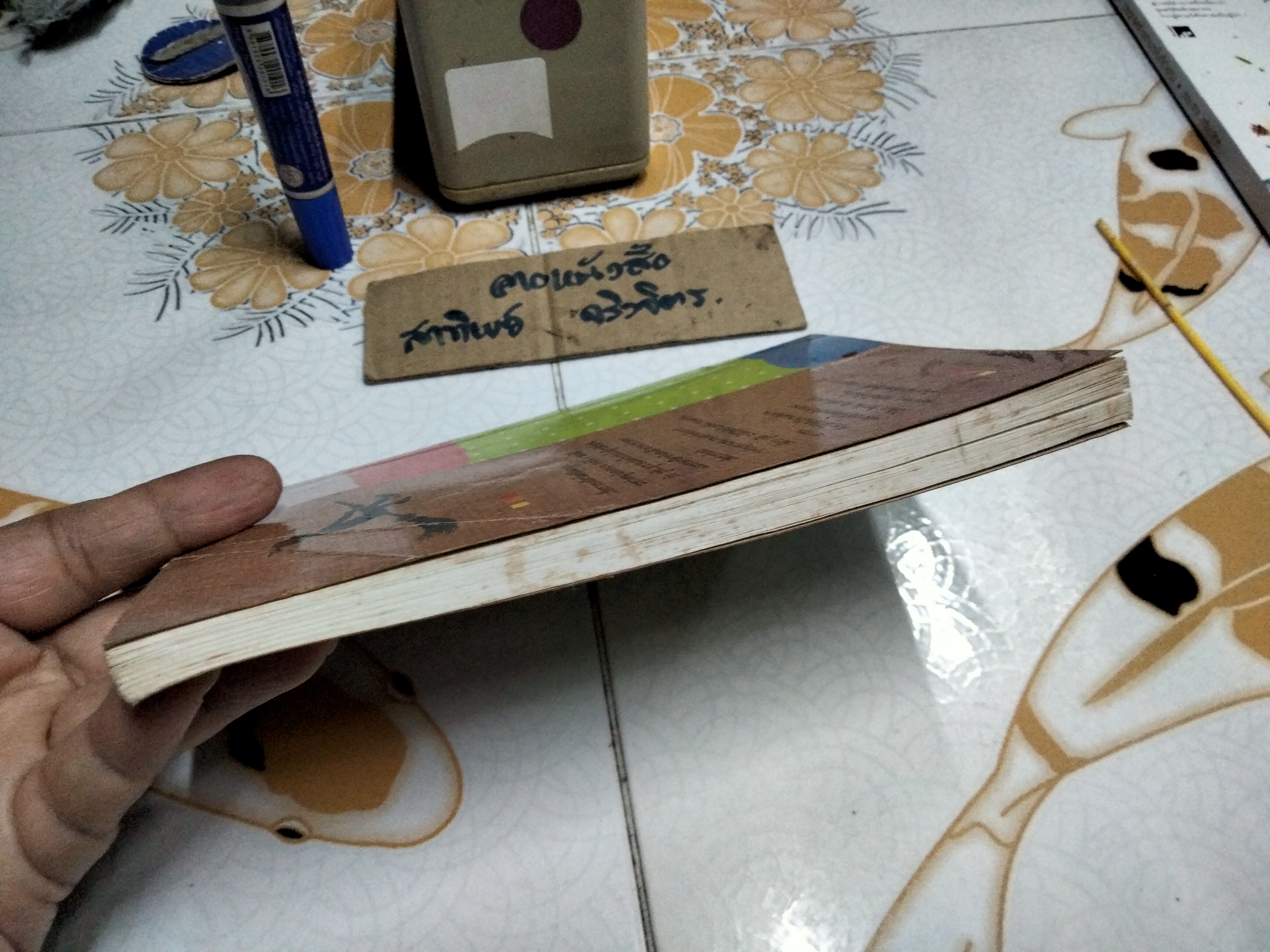 แม่มดในปล่องไฟ (The Chimney Witches) โดย วิคตอเรีย ไวท์เฮด (Victoria Whitehead) วัชรินทร์ อำพัน แปล