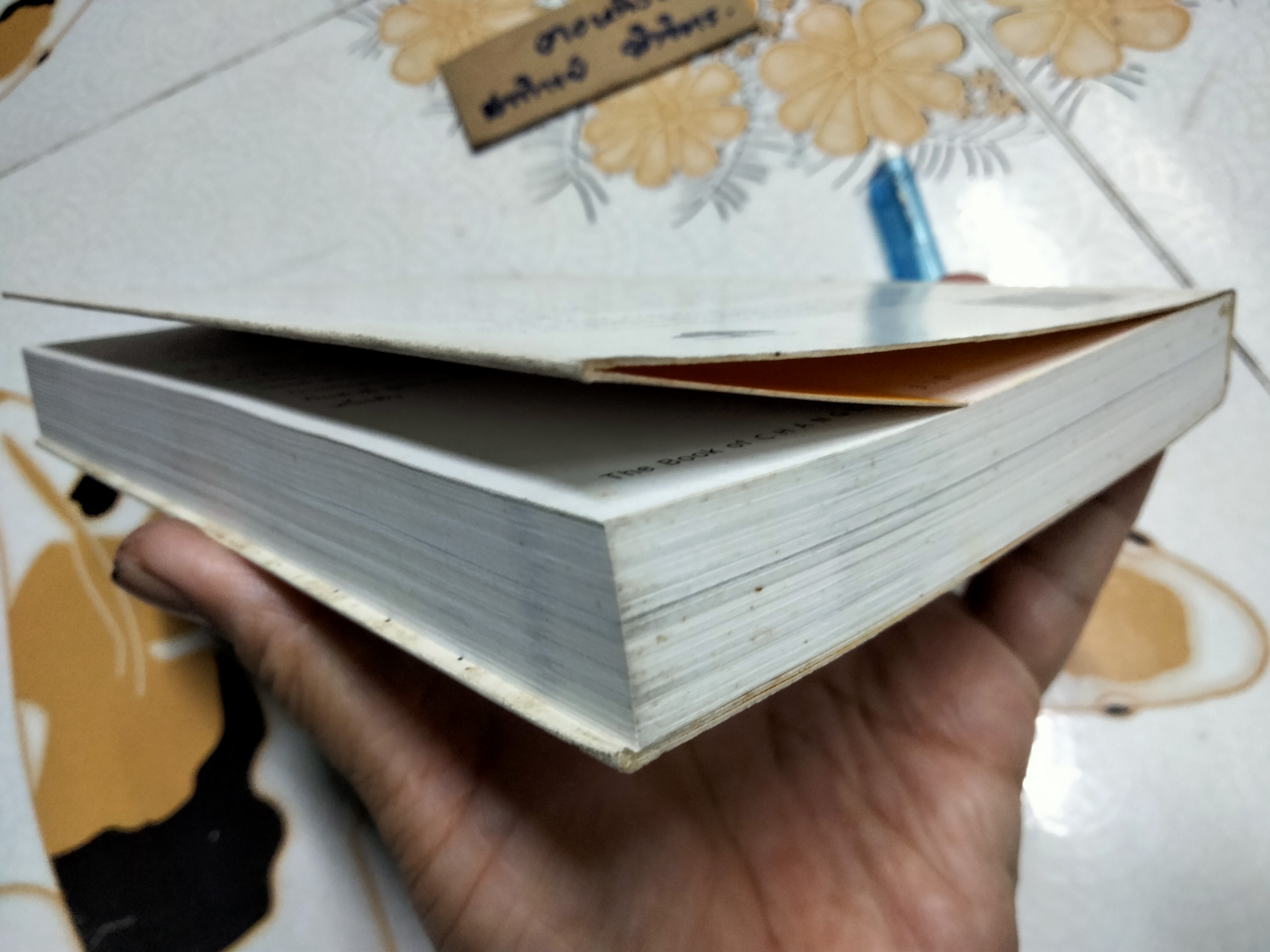 ทัศนะเพื่อการเปลี่ยนแปลงสร้างชีวิตที่ดีกว่า (The Book of Change Making Life Better) Cyndi Haynes เขียน ชมนารถ แปลและเรียบเรียง