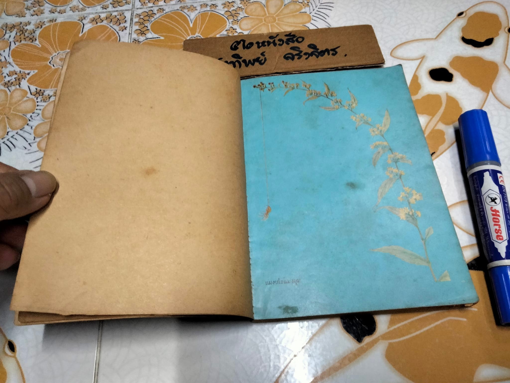 แมงมุมเพื่อนรัก แปลจาก Charlotte's Web ของ E.B. White (อี. บี. ไวท์) โดย มัลลิกา **สินค้าหมด**