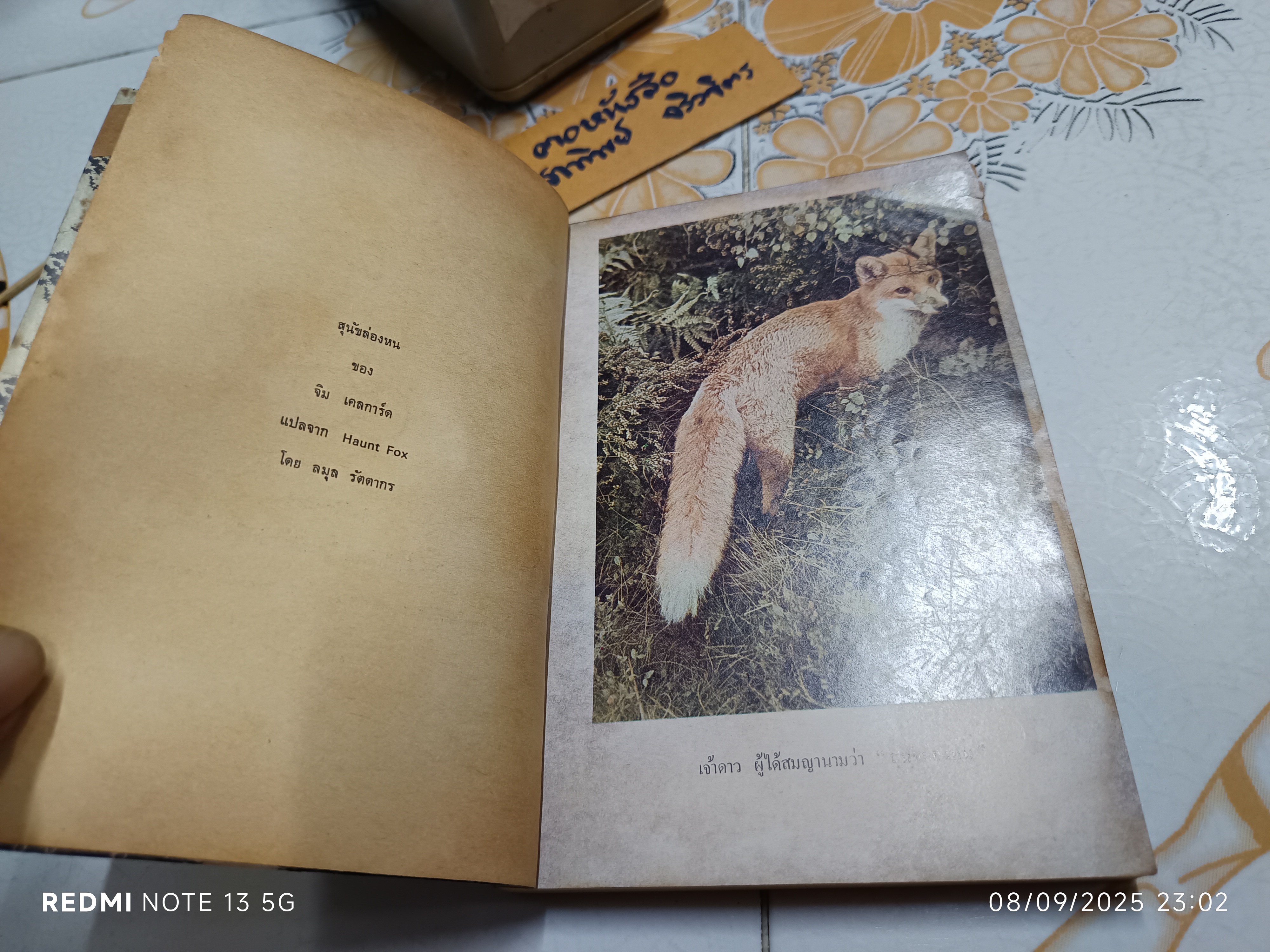 สุนัขล่องหน (Haunt Fox) ผลงานของ จิม เคลการ์ด (Jim Kjelgaard) แปลโดย ลมุล รัตตากร พิมพ์ครั้งแรก พ.ศ 2514 ไทยวัฒนาพานิช (ปกหน้าแหว่ง) **สินค้าหมด**