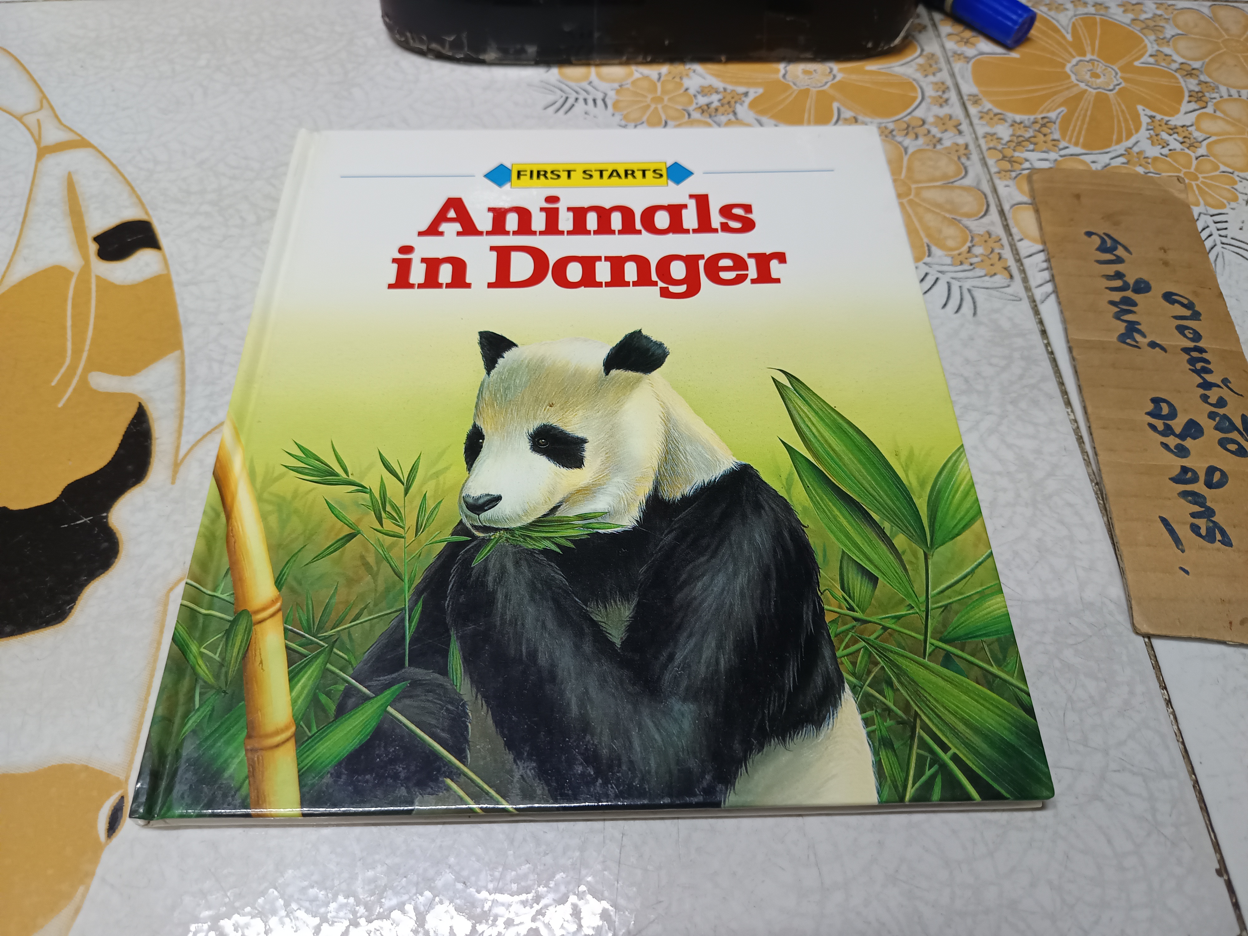 FIRST STARTS / WATTS BOOKS หนังสือภาพภาษาอังกฤษ ความรู้ (ปกแข็ง)