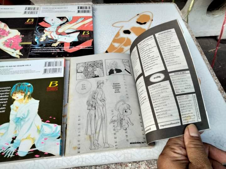 รักฤาเสน่หา (5 เล่มจบ-เช่า สภาพดี) ผลงานขุ โอซาคาเบะ มาชิน , ผู้วาด กรงรัก