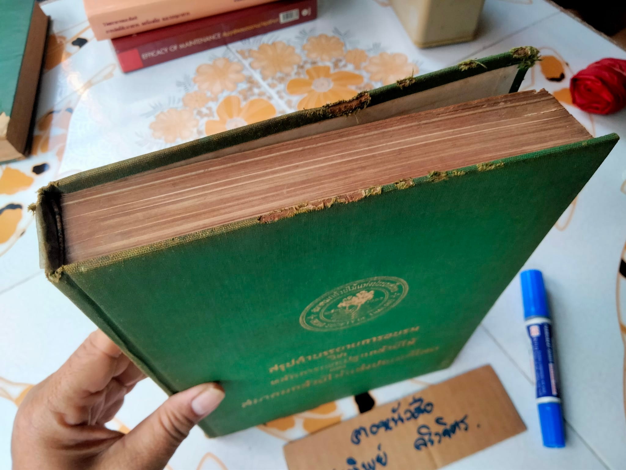 สรุปคำบรรยายการอบรมวิชา หลักการเพาะปลูกกล้วยไม้ ของ สมาคมกล้วยไม้แห่งประเทศไทย