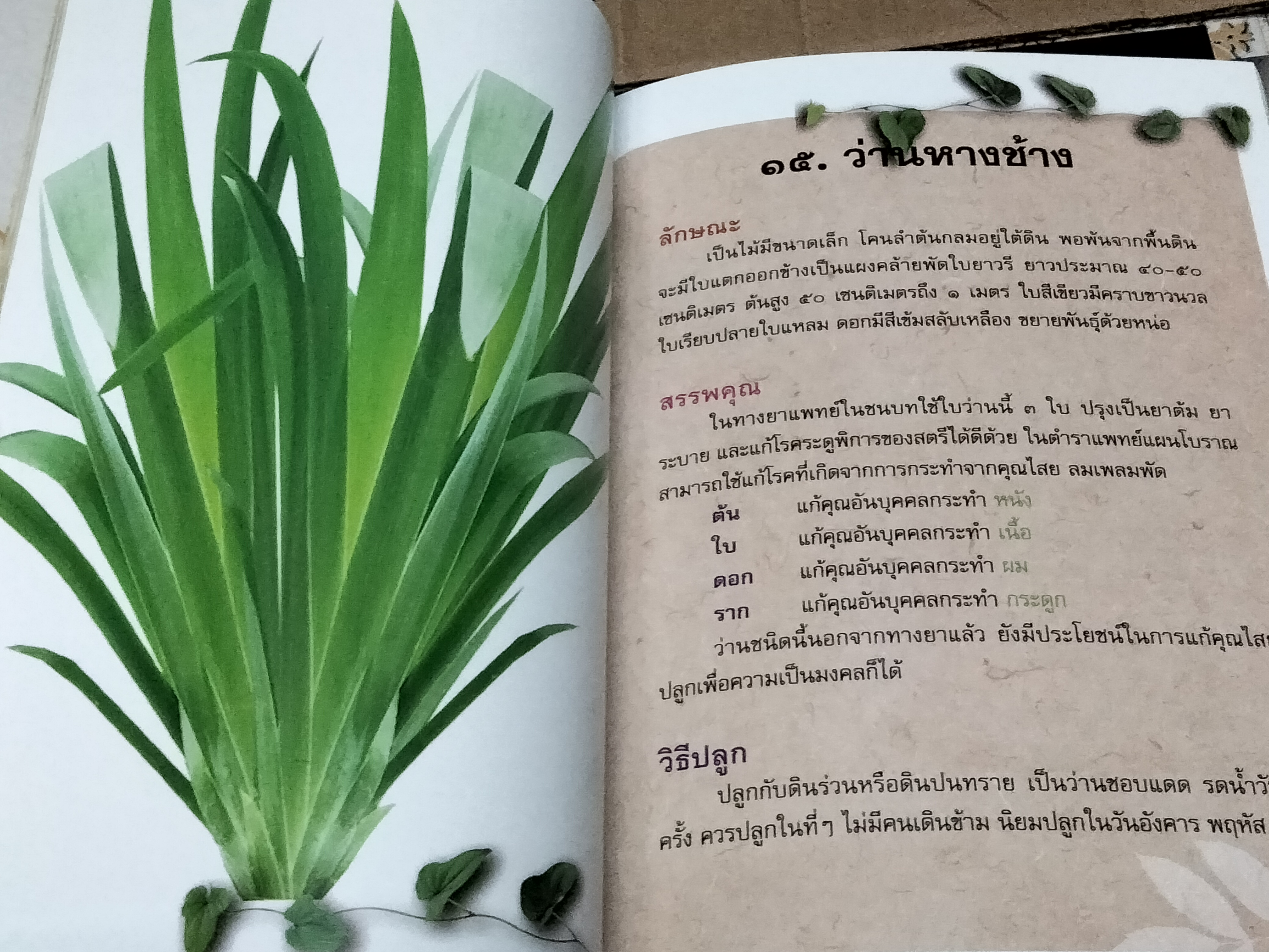 หนังสือ ตำนานว่านไทย โดย ชมรมว่านมหาเศรษฐี
