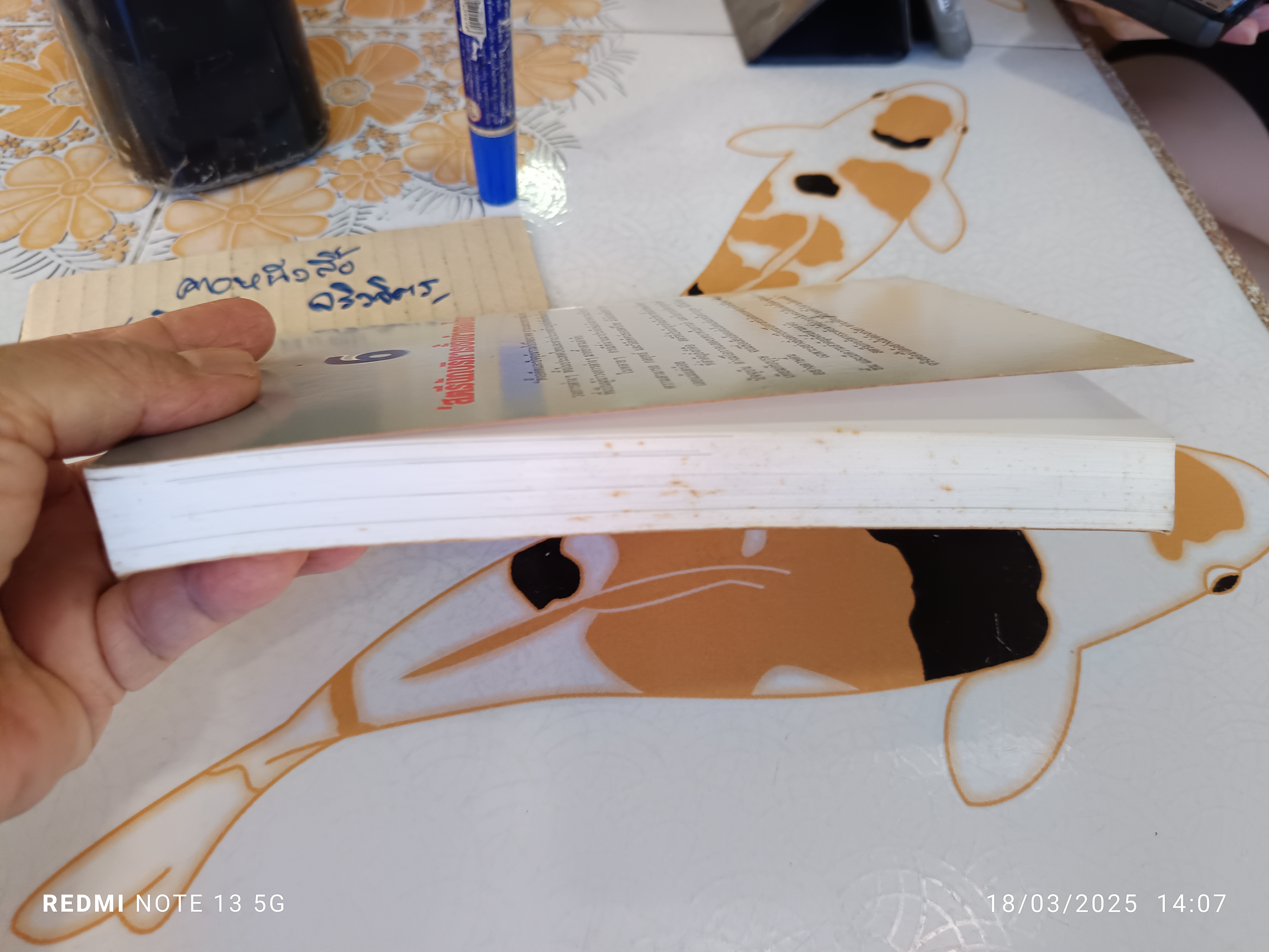 6 สตรีผู้เยี่ยมวรยุทธ์ โดย ธนวัฒน์ ทรัพย์ไพบูลย์ พิมพ์ครั้งแรกพ.ศ 2545