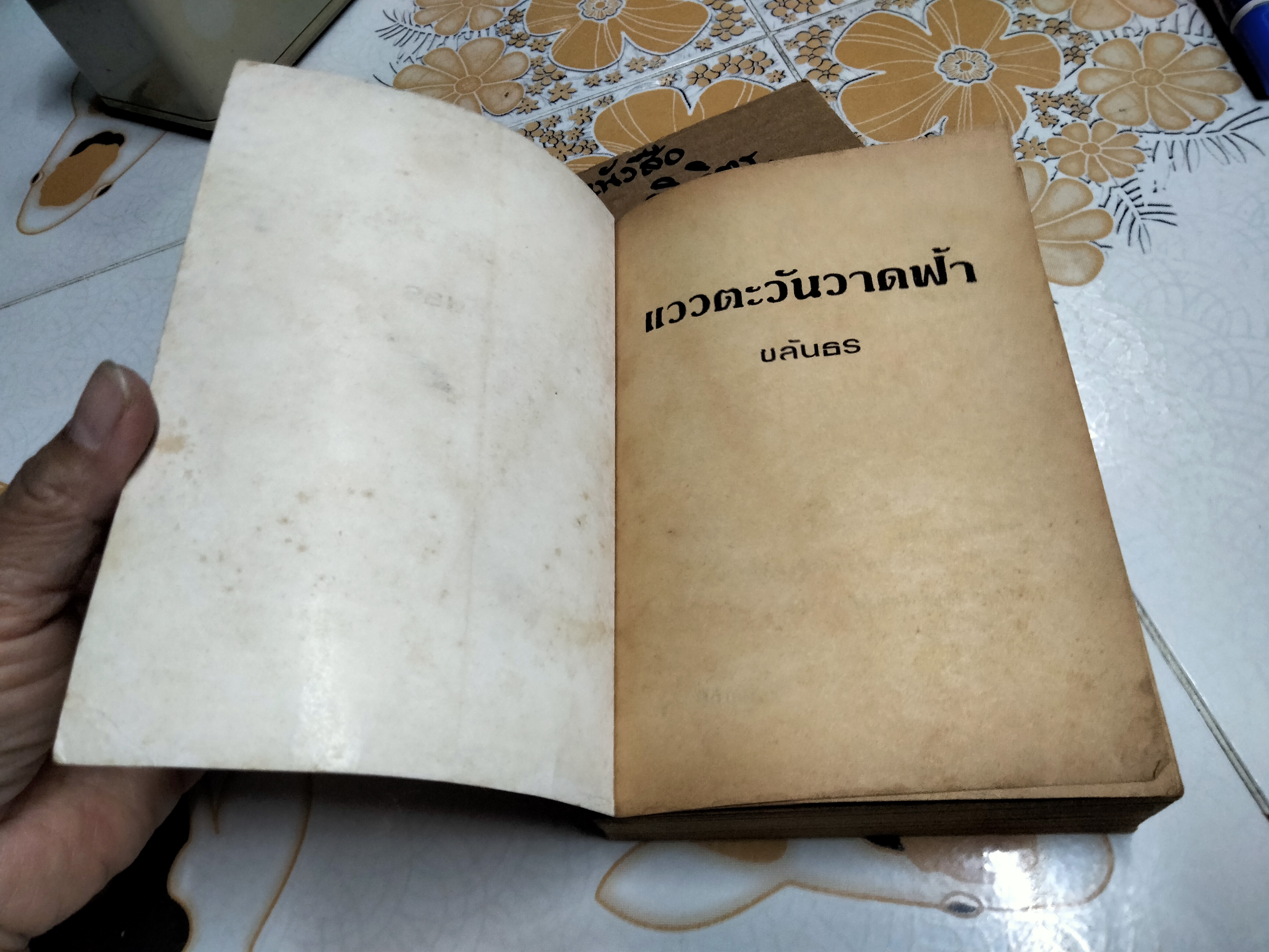 แววตะวันวาดฟ้า - ชลันธร พิมพ์ครั้งที่ 3/2525 **สินค้าหมด**