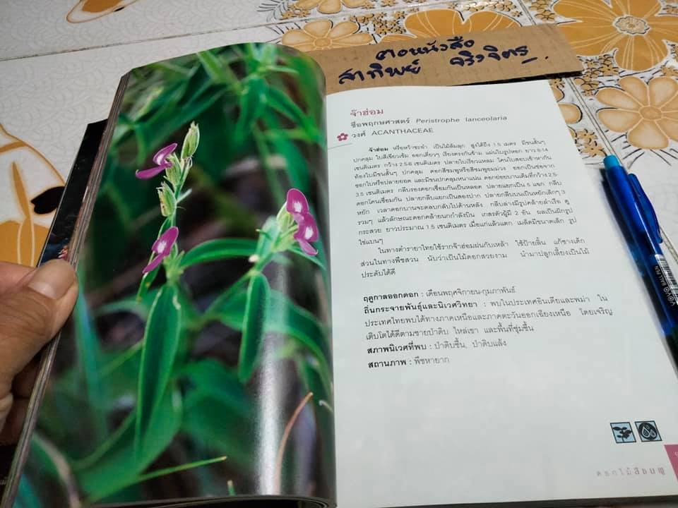 มหัศจรรย์ดอกไม้ป่า เล่ม 1 - ชาธร สิทธิเคหภาค