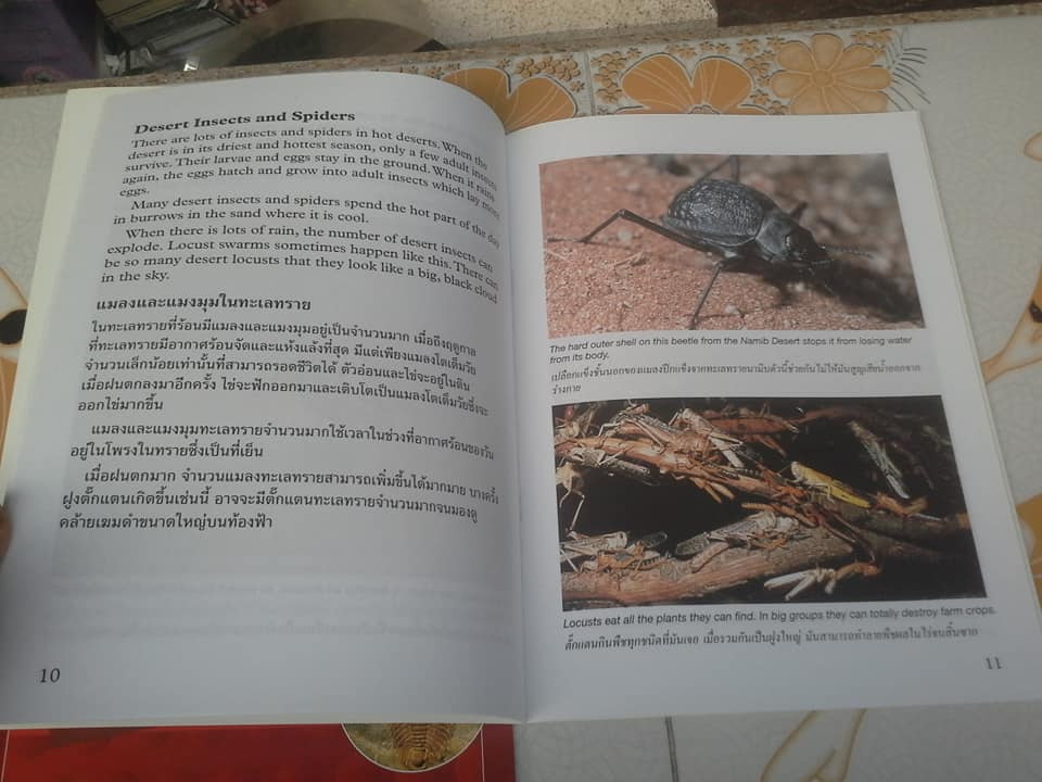 หนังสือส่งเสริมการเรียนรู้ธรรมชาติ ชุด Nature Library แปลและเรียบเรียง โดย ศ.ดร.กฤษณา ชุติมา (ขายรวม 2 เล่ม) **สินค้าหมด**