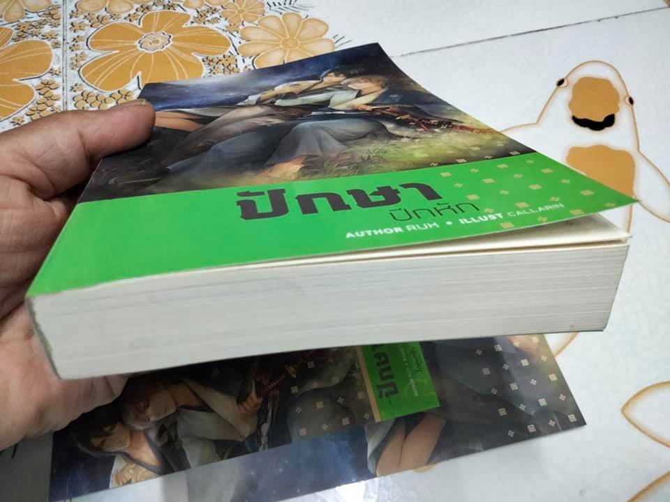 ปักษาปีกหัก - Author RUK