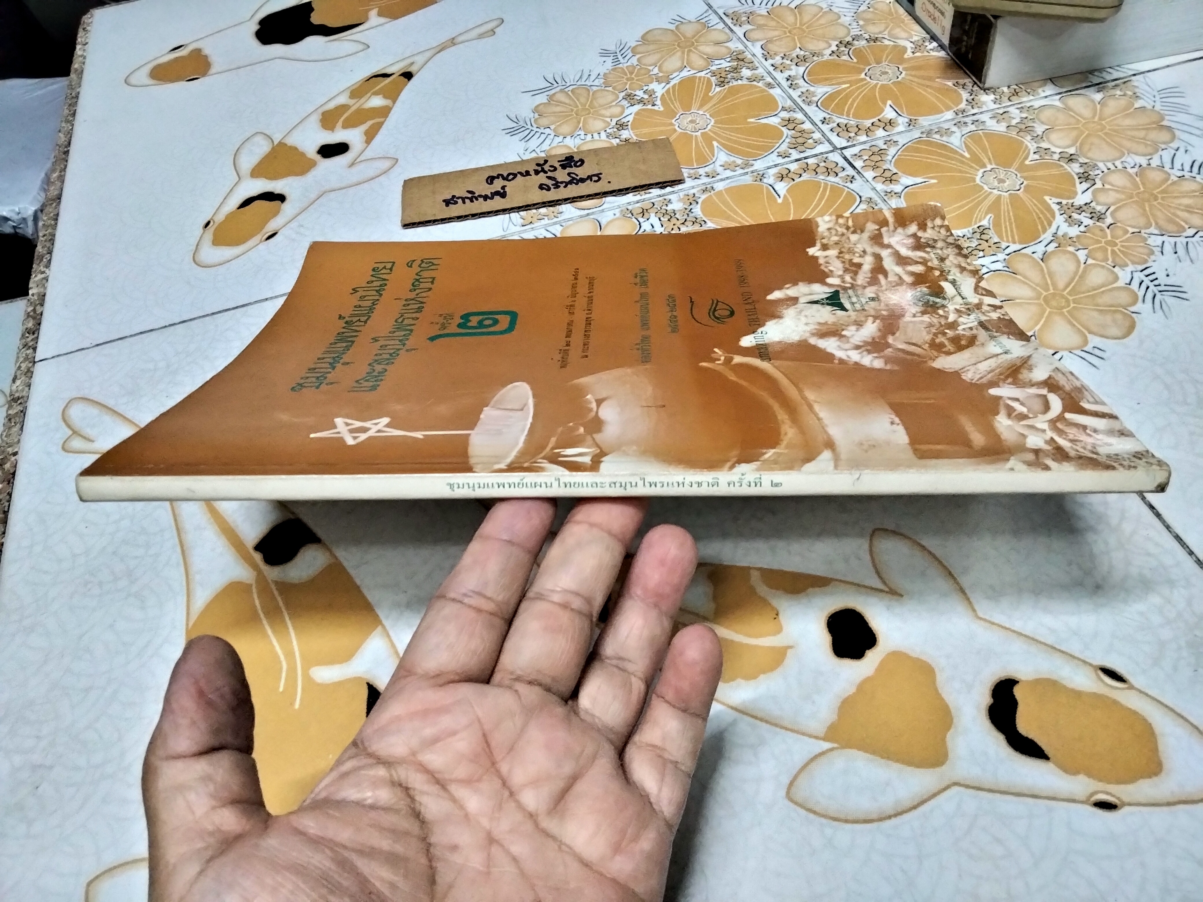 ชุมนุมแพทย์แผนไทย และสมุนไพรแห่งชาติ ครั้งที่ 2 /2541