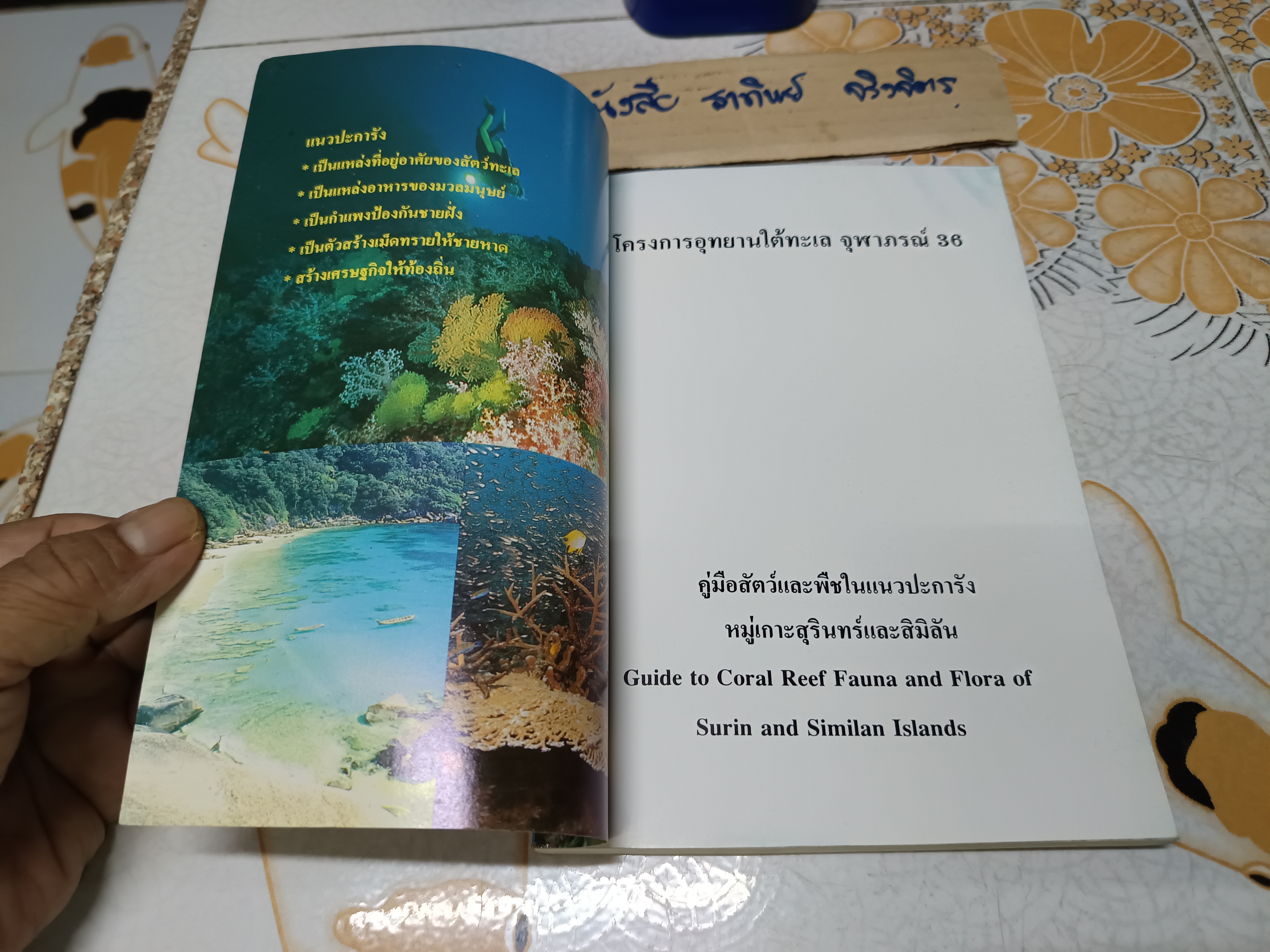 โครงการอุทยานใต้ทะเล จุฬาภรณ์ 36 คู่มือสัตว์และพืชในแนวปะการังหมู่เกาะสุรินทร์และสิมิลัน