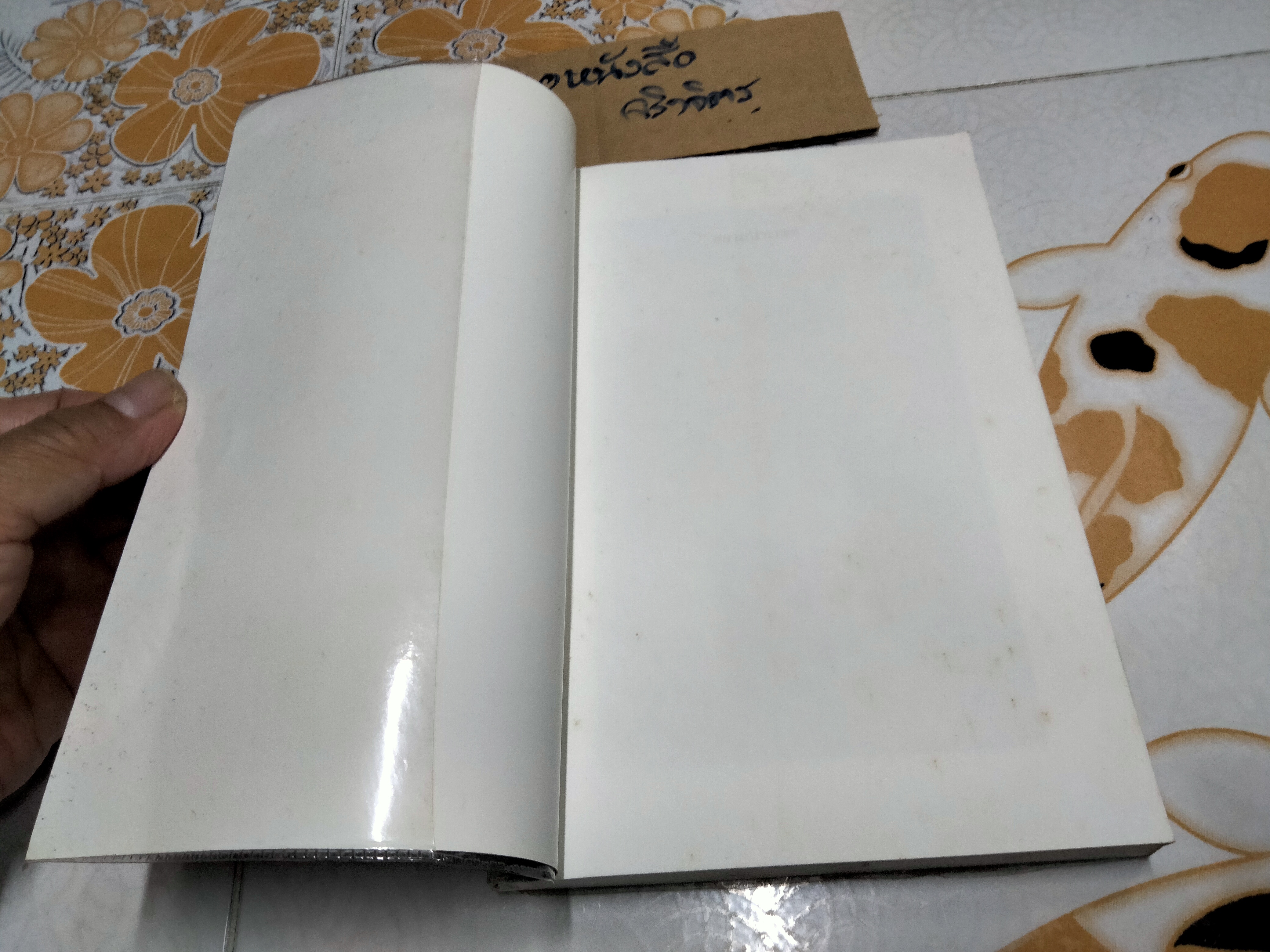 สยามประเทศ ผลงานของ ร.ศ.ศรีศักร วัลลิโภดม **สินค้าหมด**